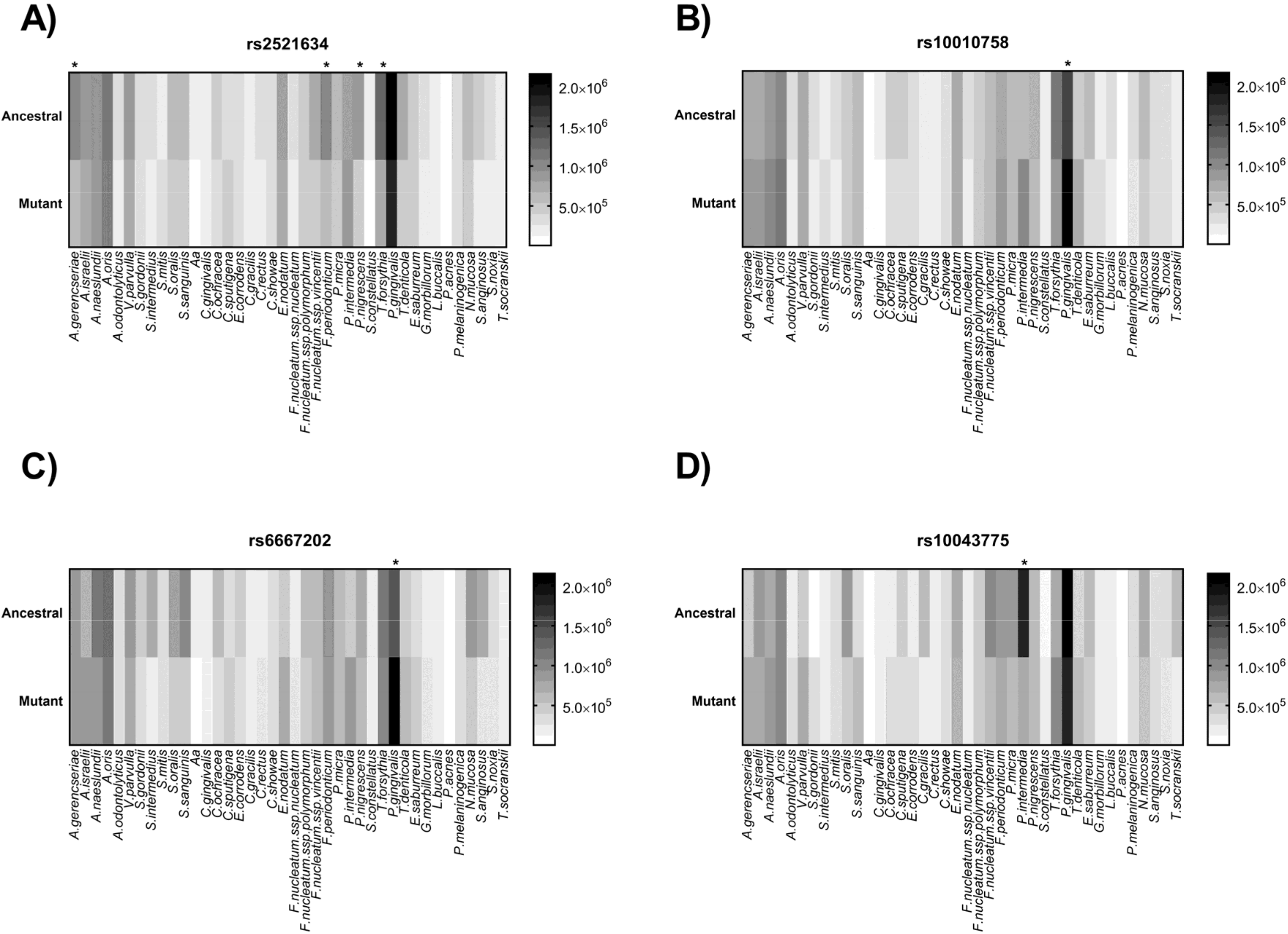 Genes 09 00271 g003 Genes 09 00271 g003