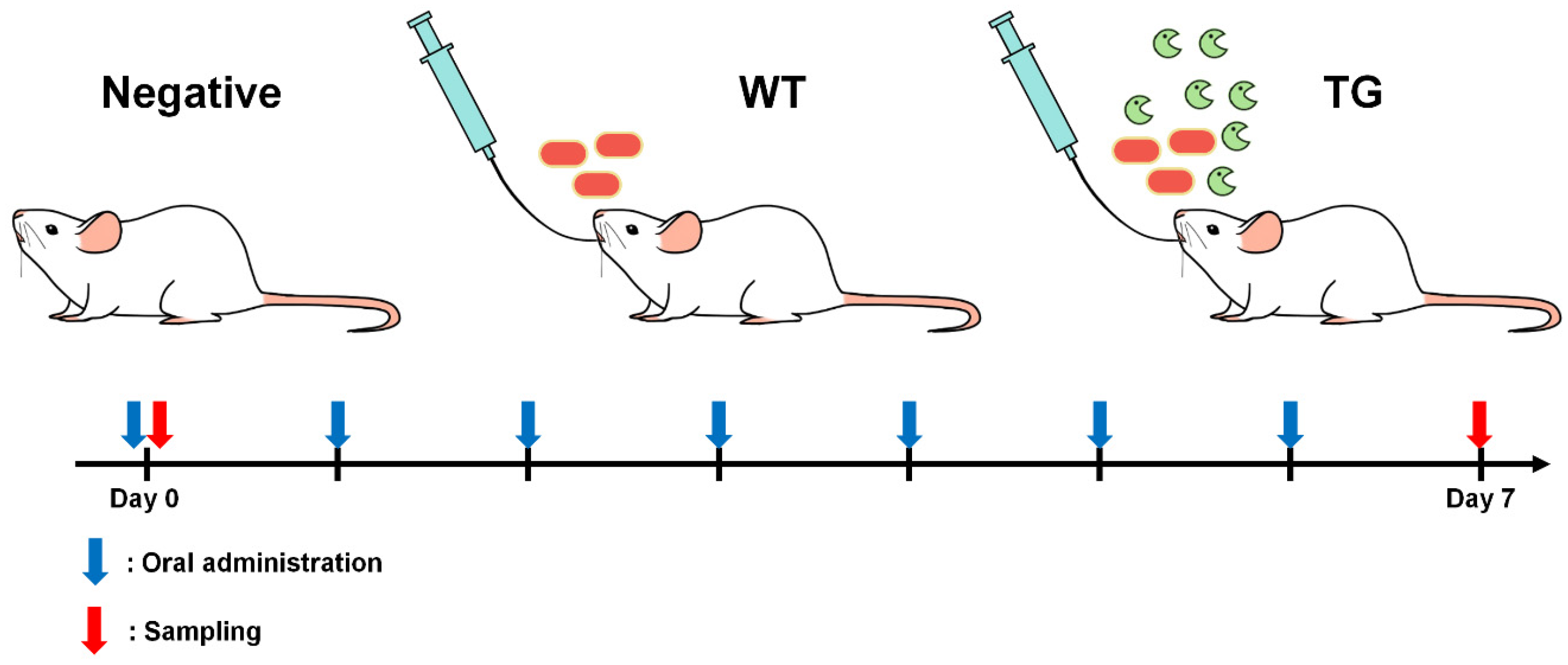 Genes 09 00276 g001 Genes 09 00276 g001