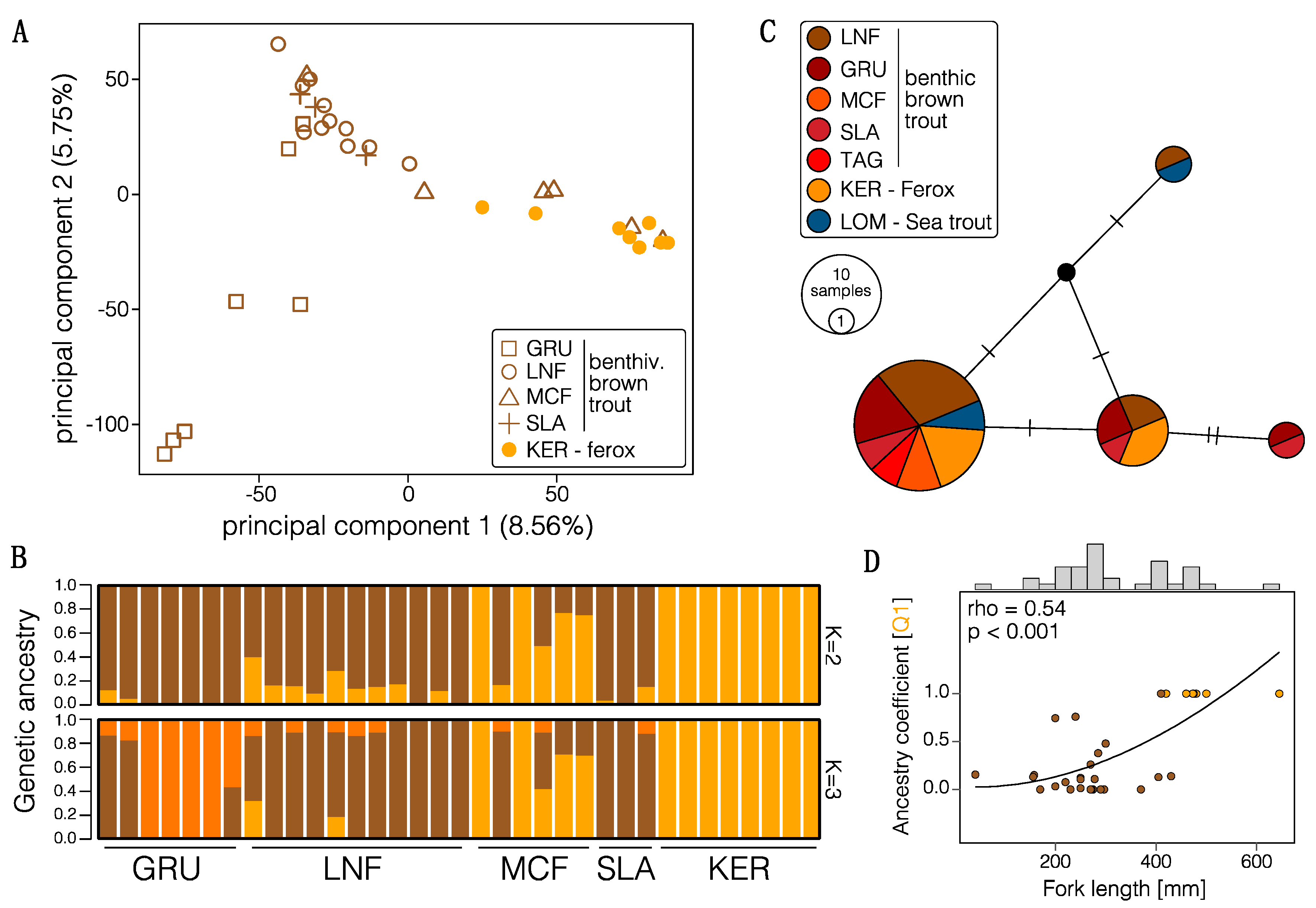 Genes 09 00280 g002