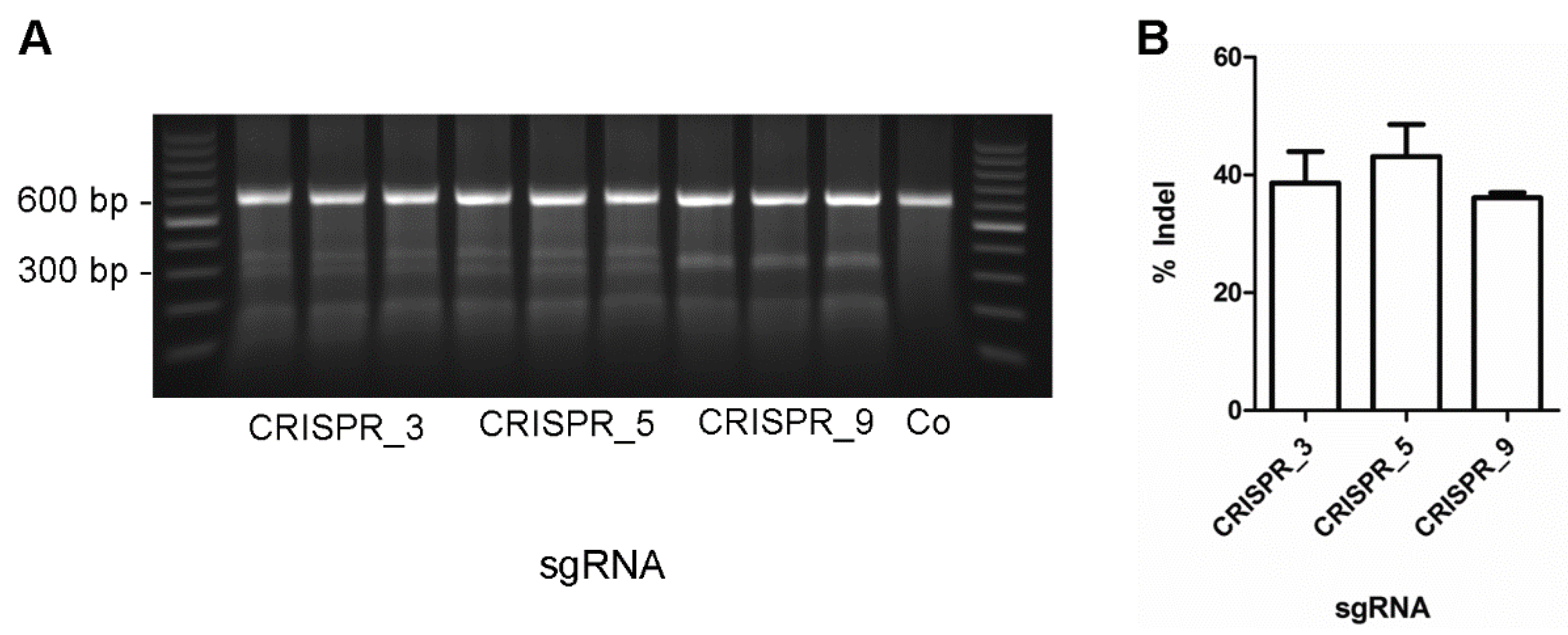 Genes 09 00296 g001 Genes 09 00296 g001