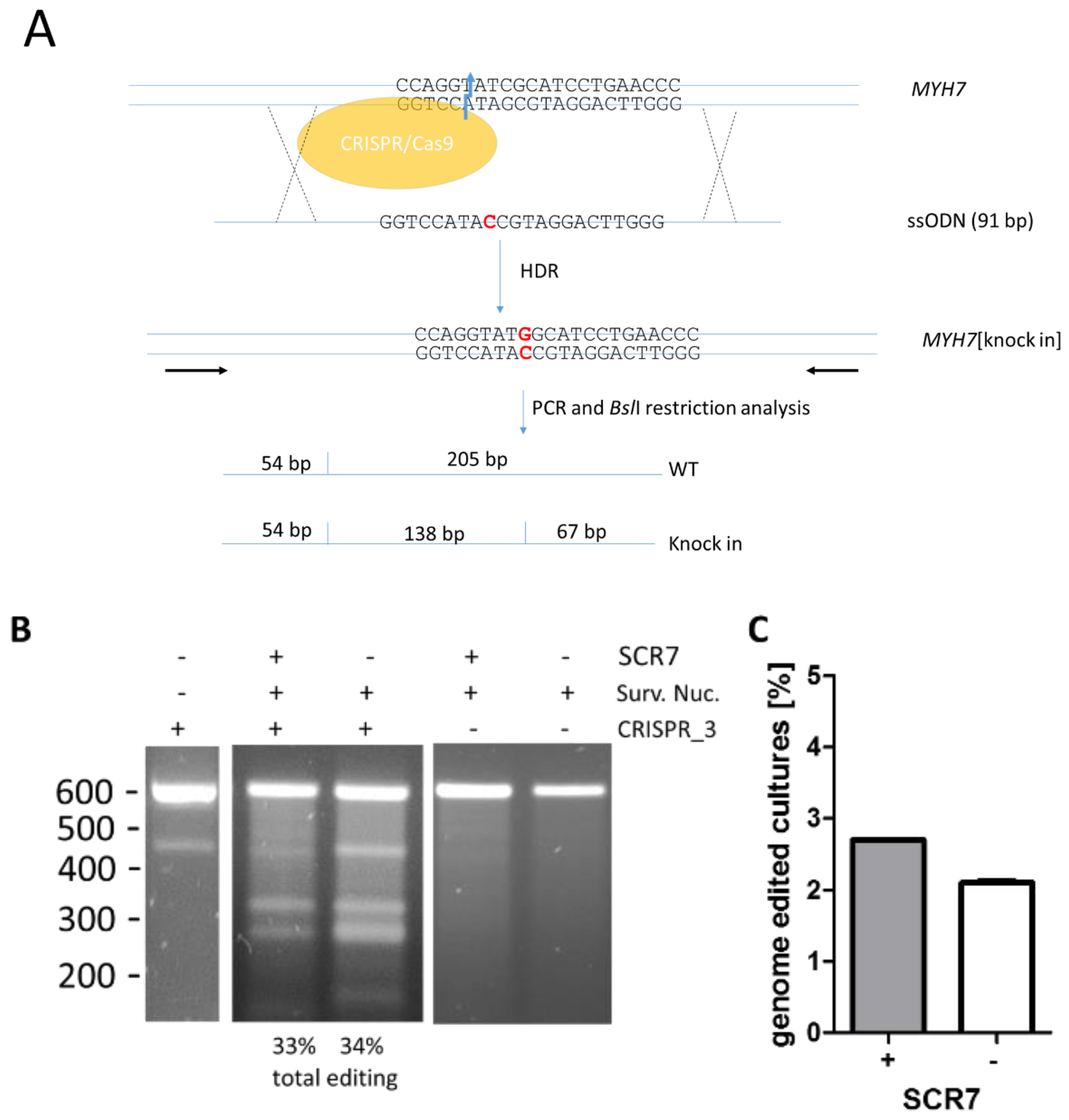 Genes 09 00296 g002 Genes 09 00296 g002