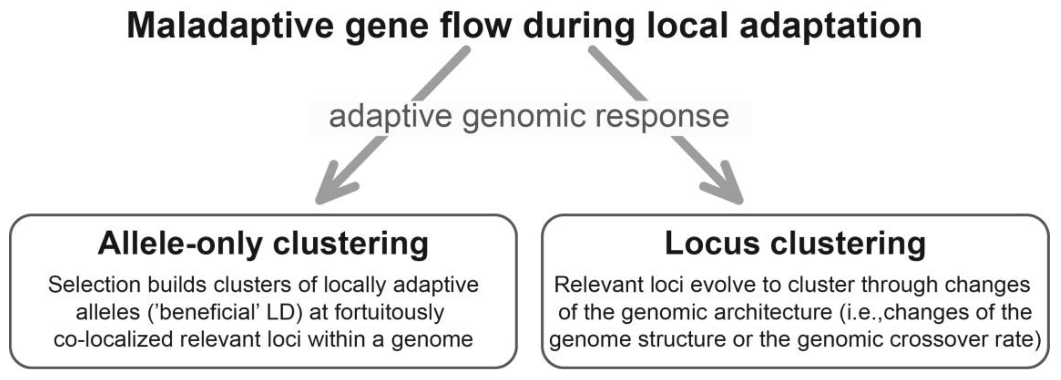 Genes 09 00298 g001