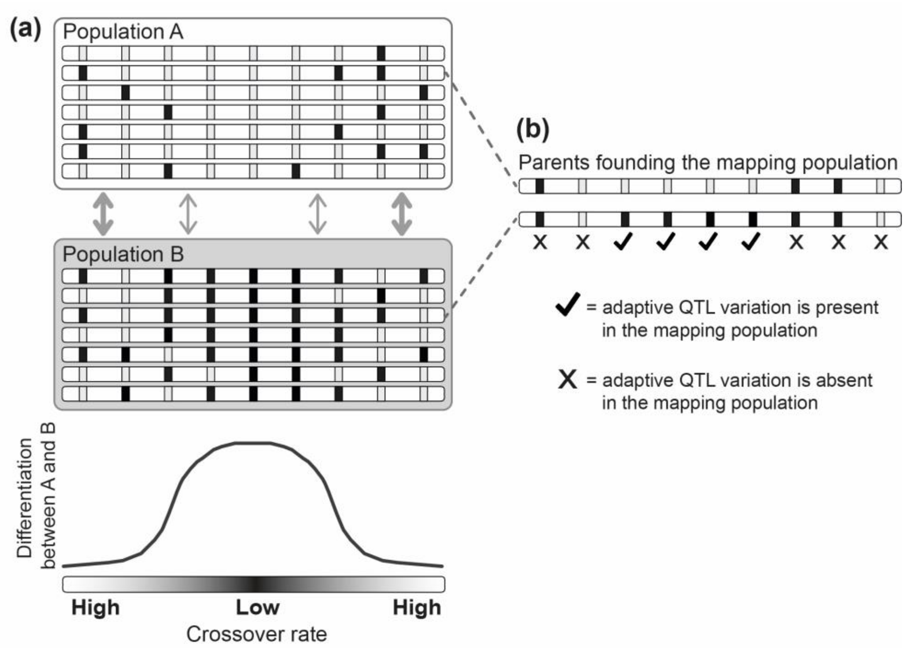 Genes 09 00298 g004