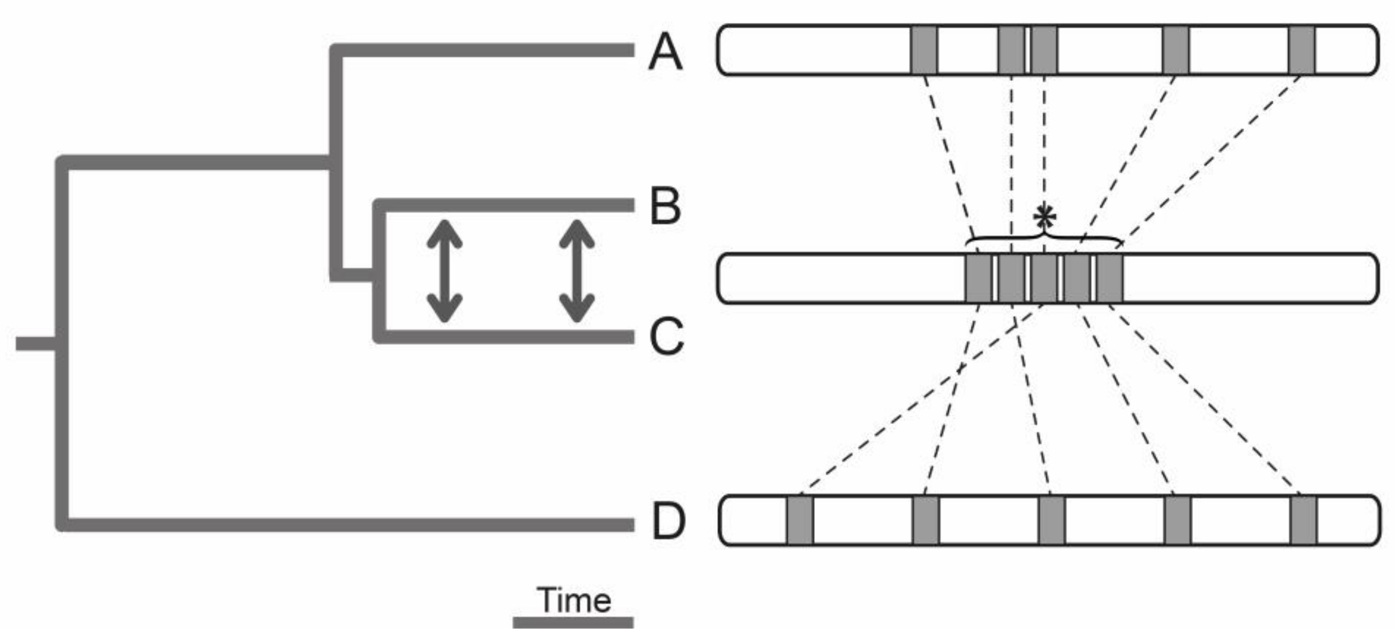 Genes 09 00298 g005