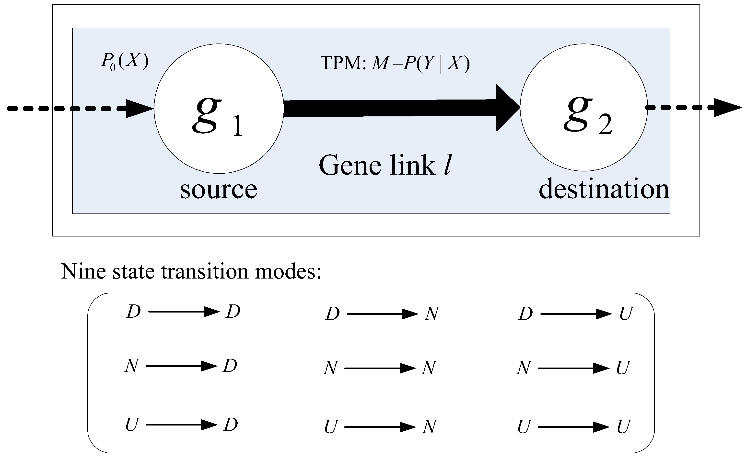 Genes 09 00323 g002 Genes 09 00323 g002