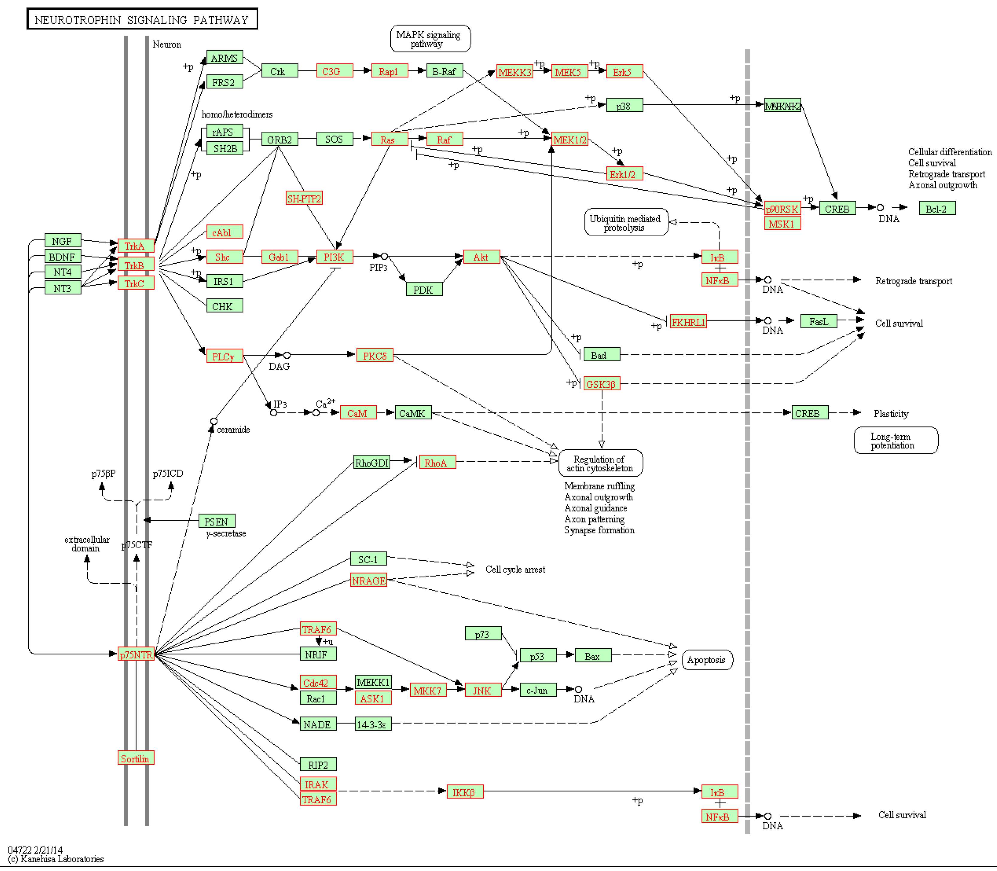 Genes 09 00323 g005 Genes 09 00323 g005
