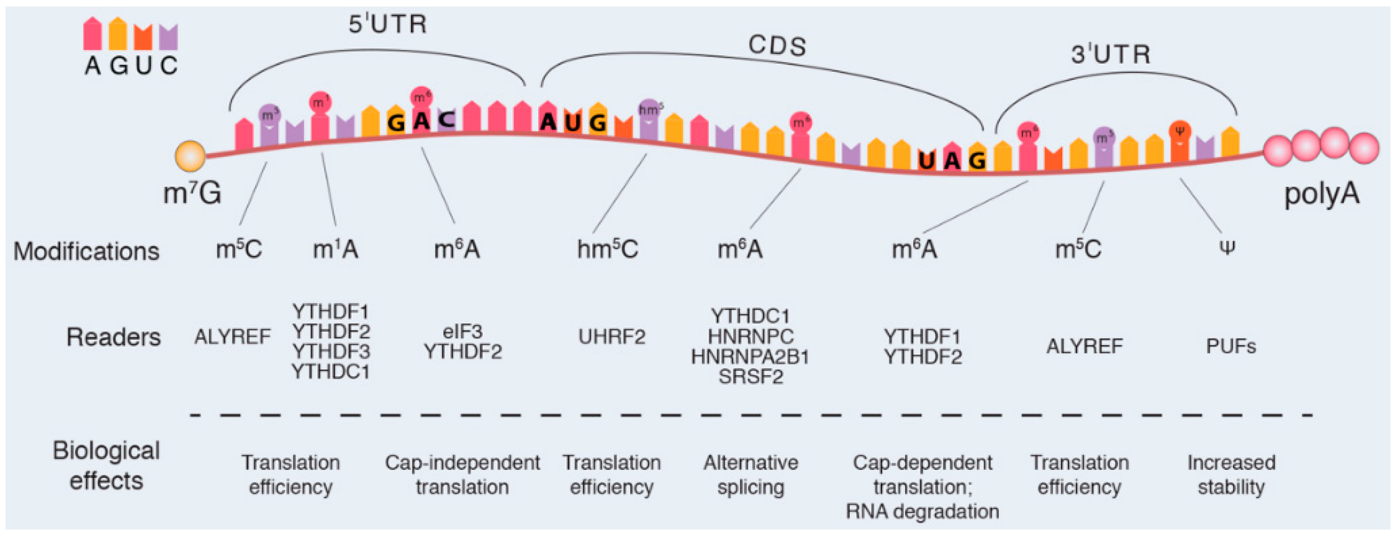 Genes 09 00329 g001 Genes 09 00329 g001