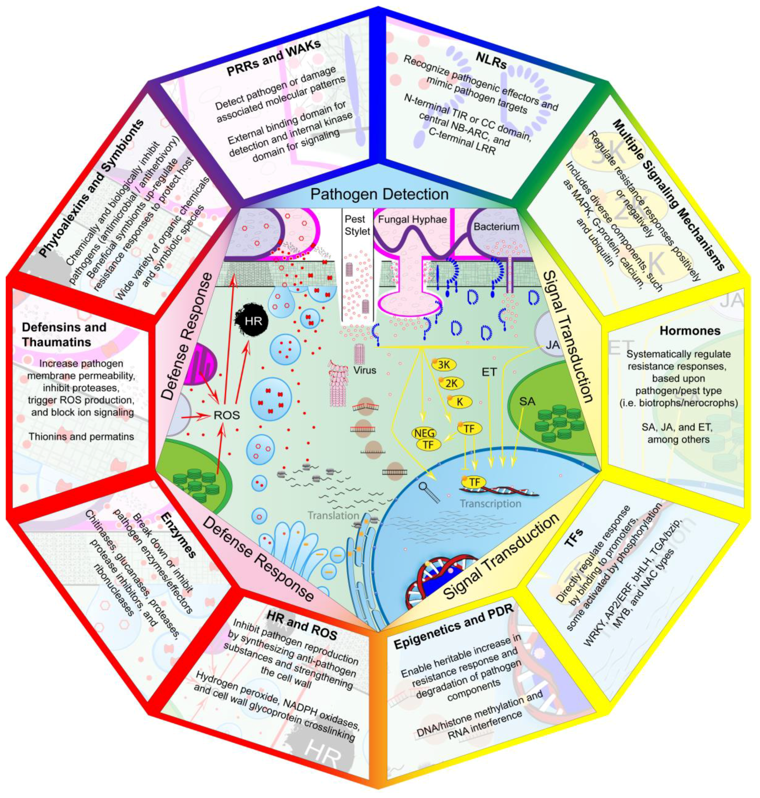 Genes 09 00339 g001