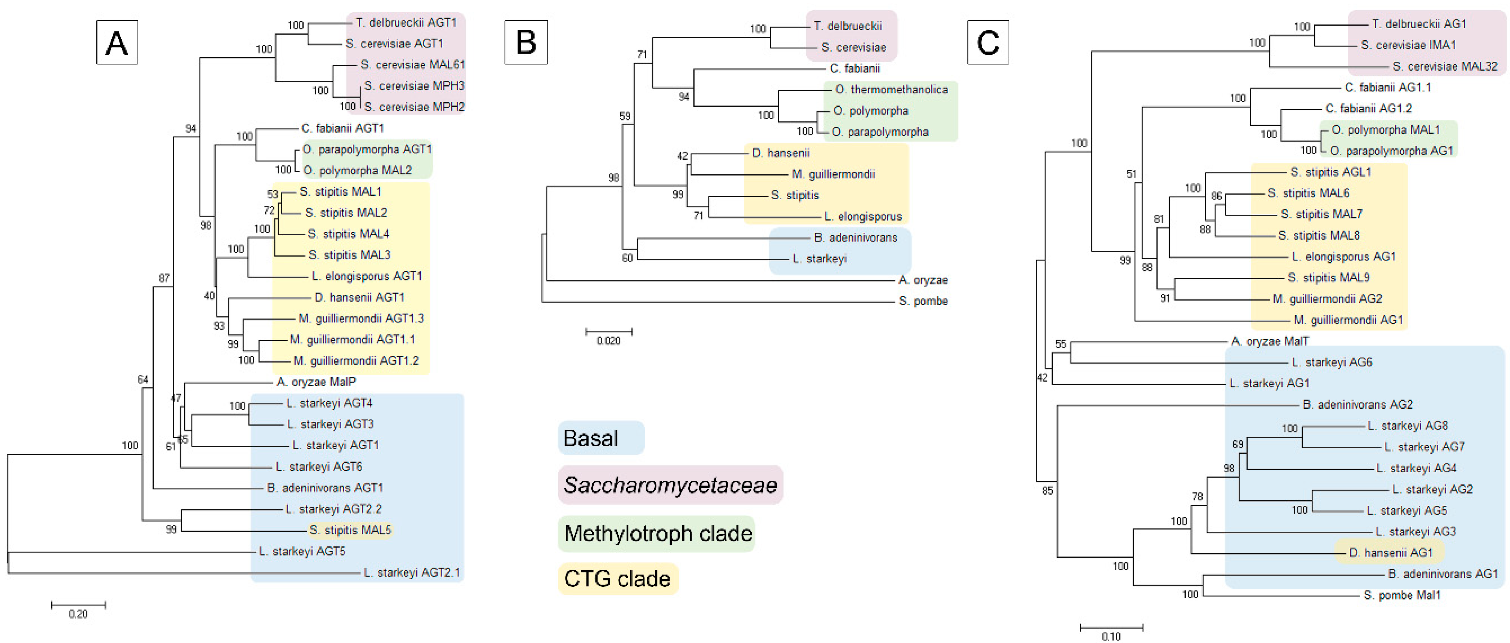 Genes 09 00354 g002