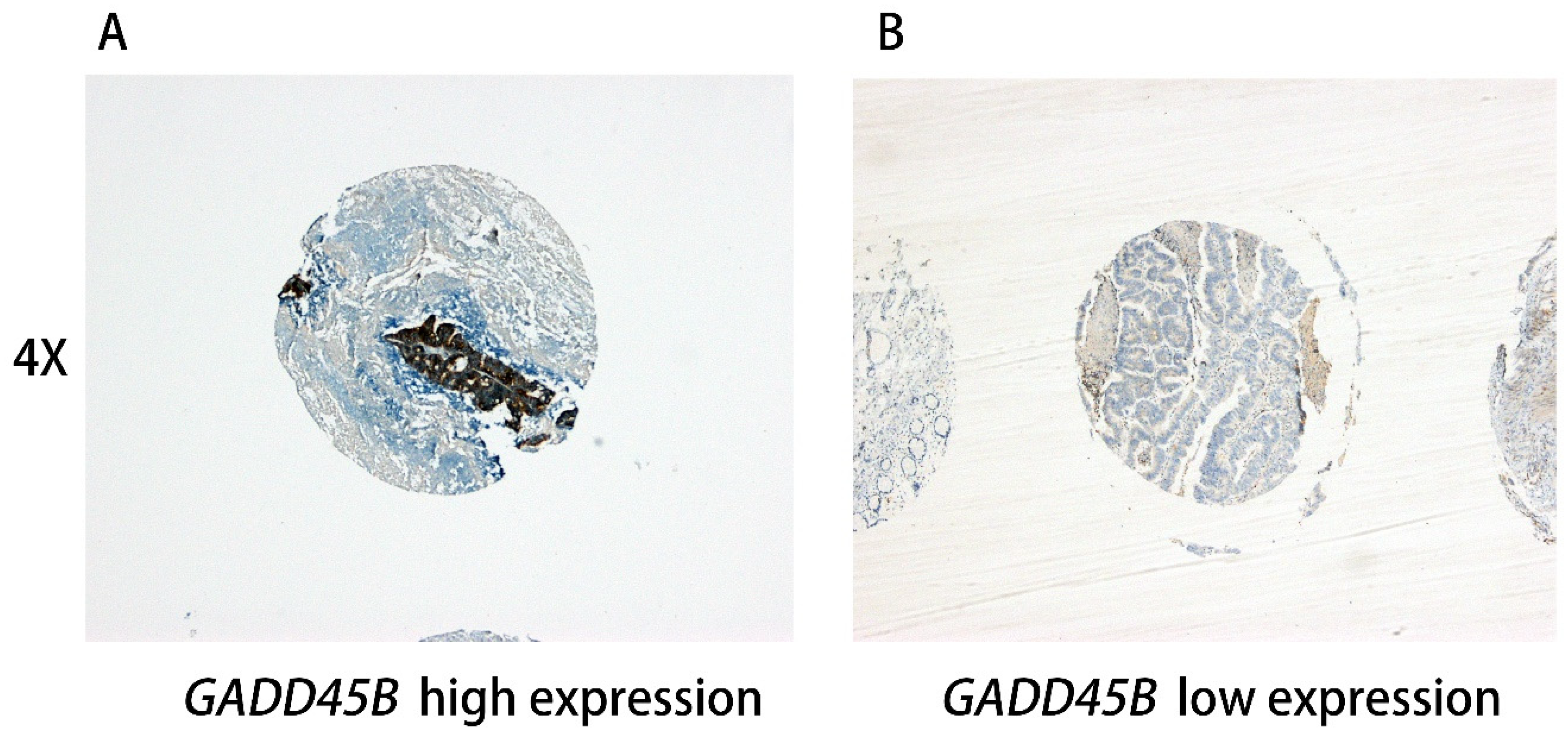 Genes 09 00361 g001a