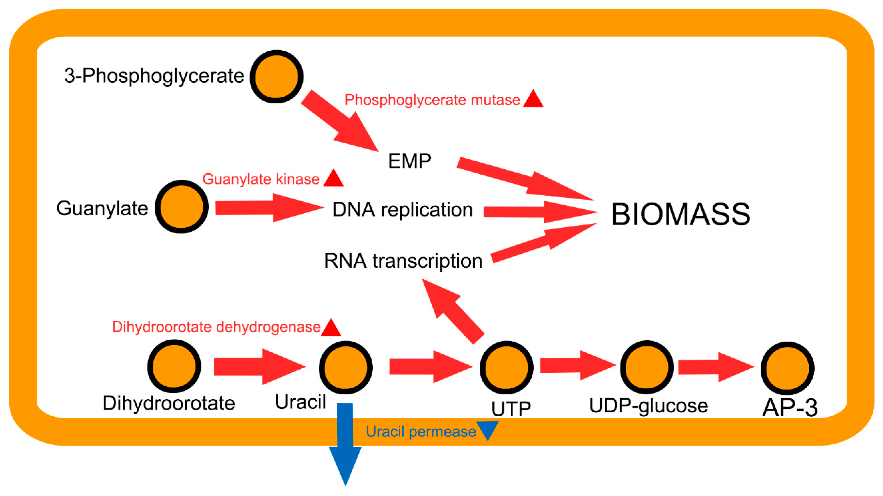 Genes 09 00364 g009