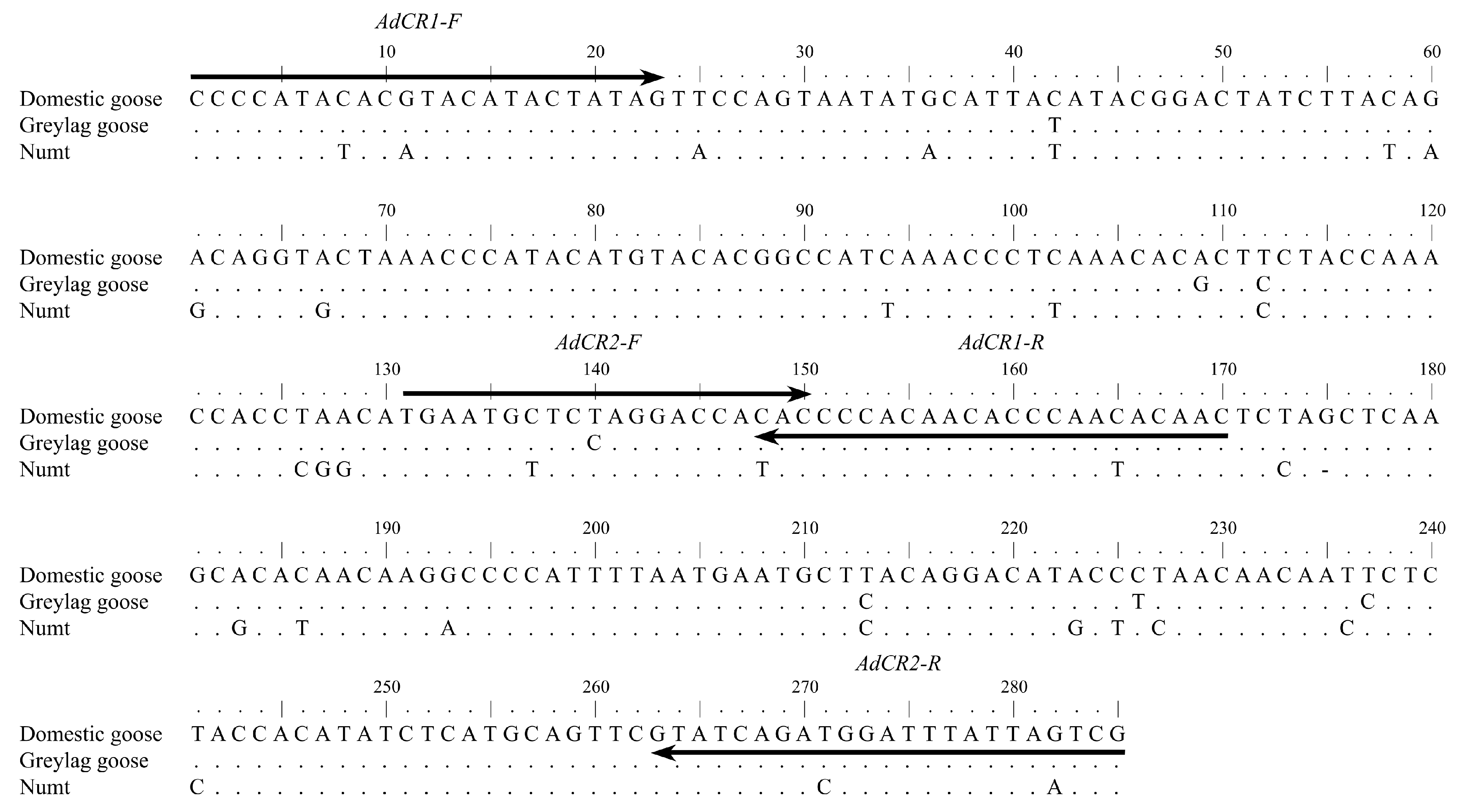 Genes 09 00367 g002