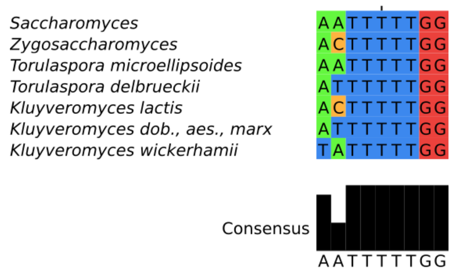 Genes 09 00372 g003