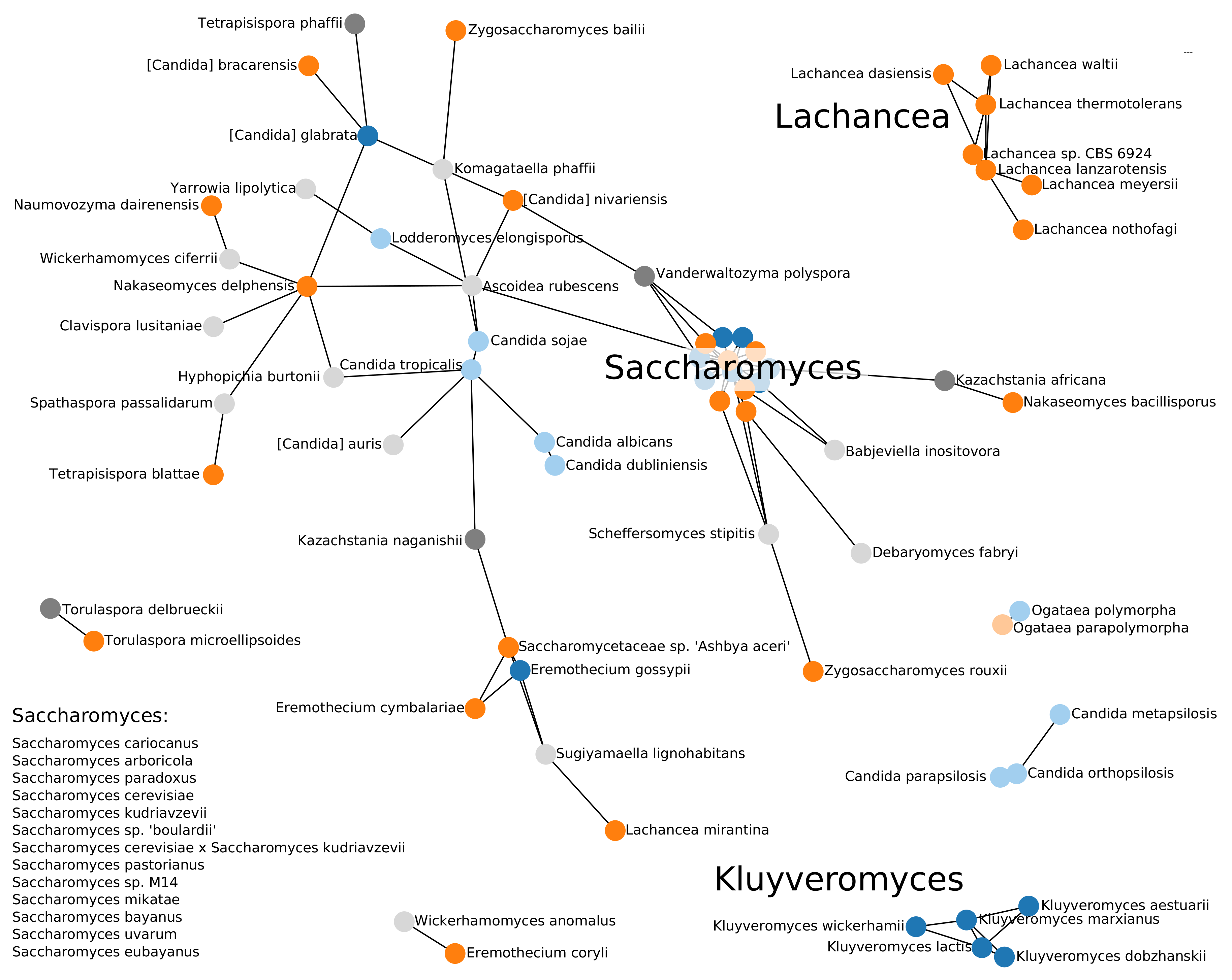 Genes 09 00372 g004