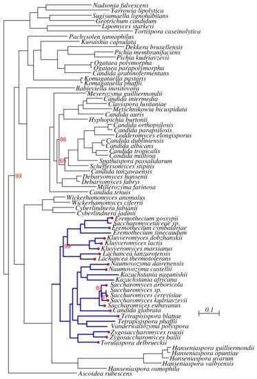 Genes 09 00372 g0a1 Genes 09 00372 g0a1