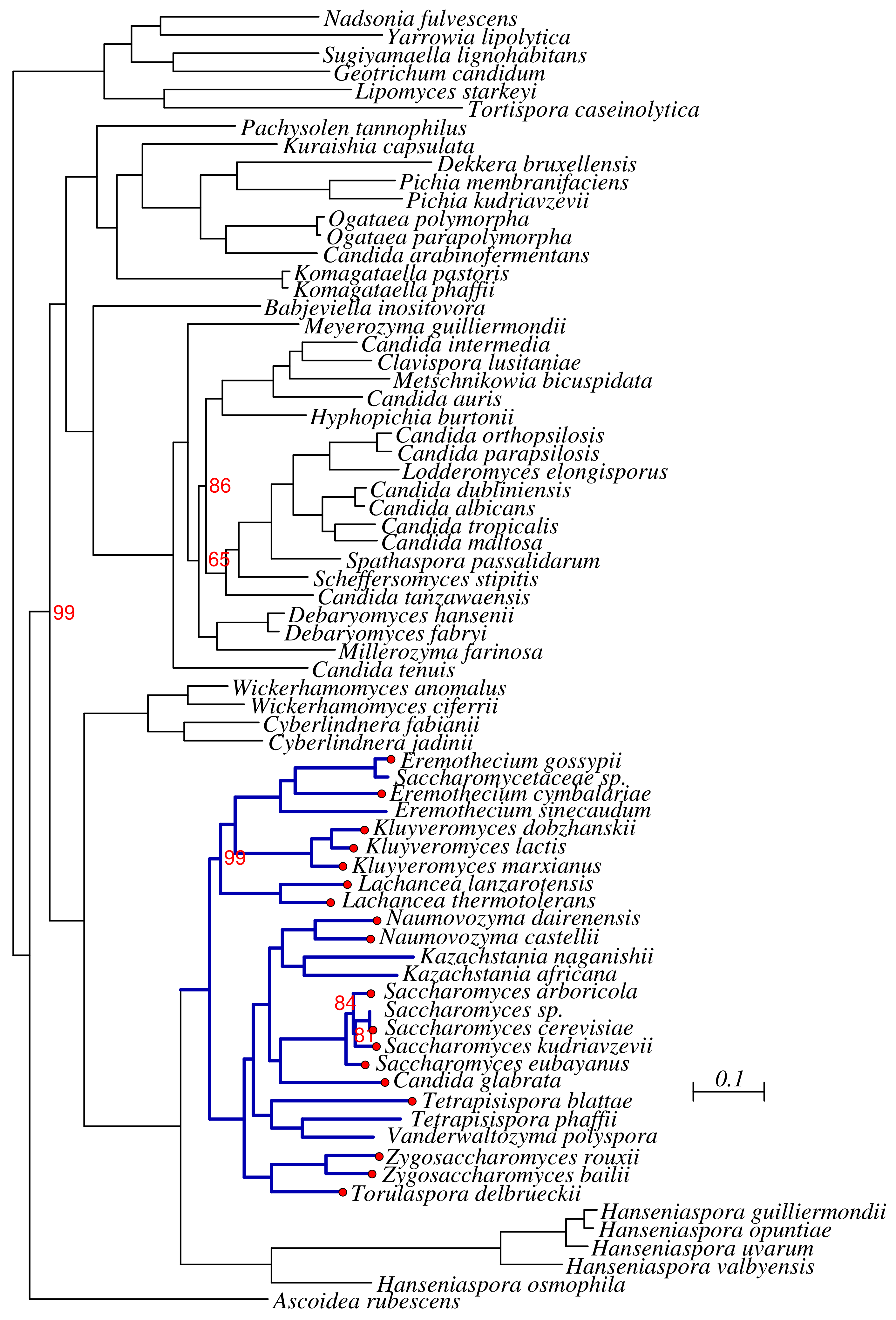 Genes 09 00372 g0a1