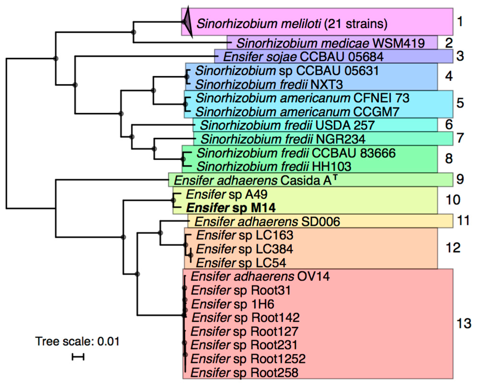 Genes 09 00379 g002