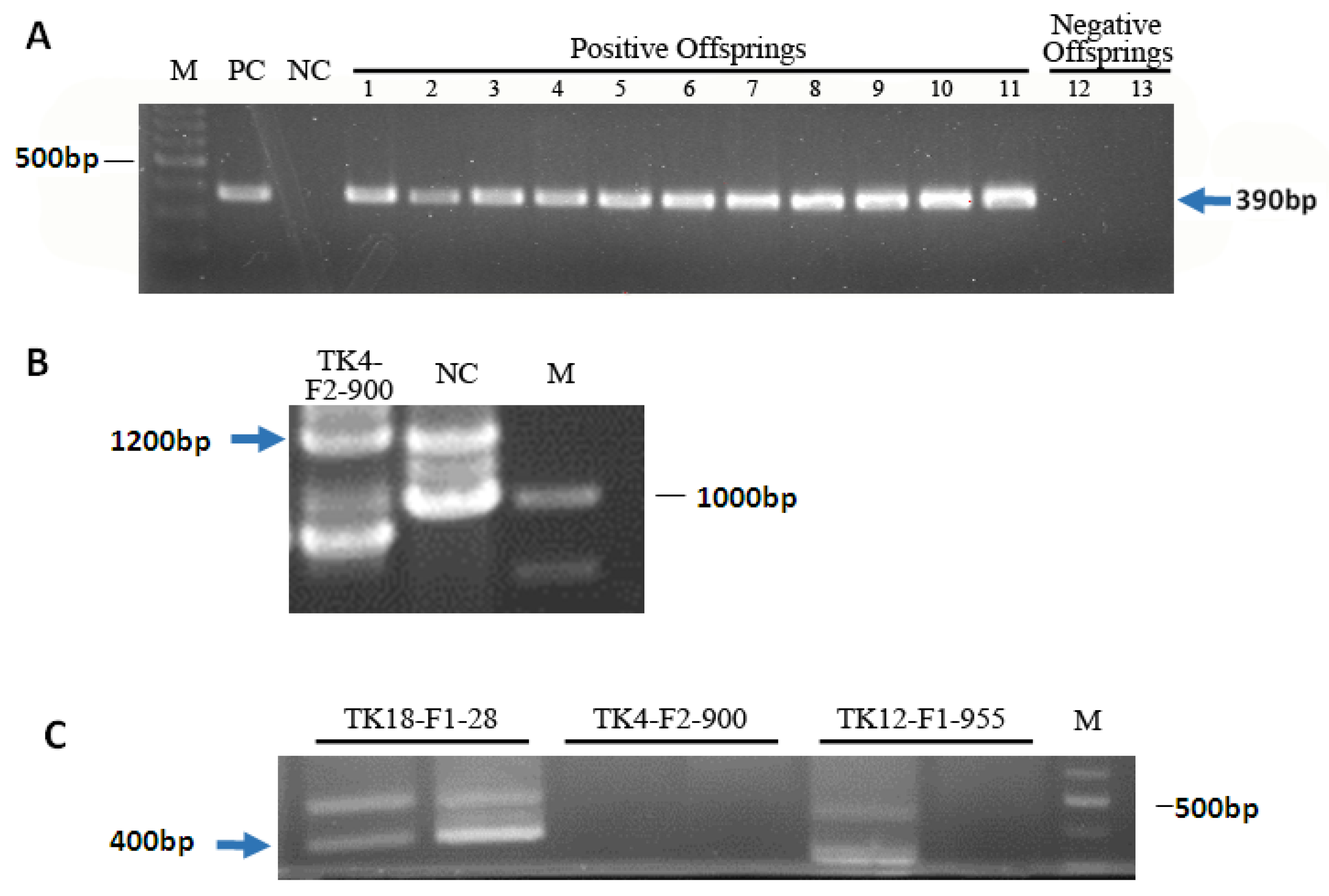 Genes 09 00380 g001 Genes 09 00380 g001