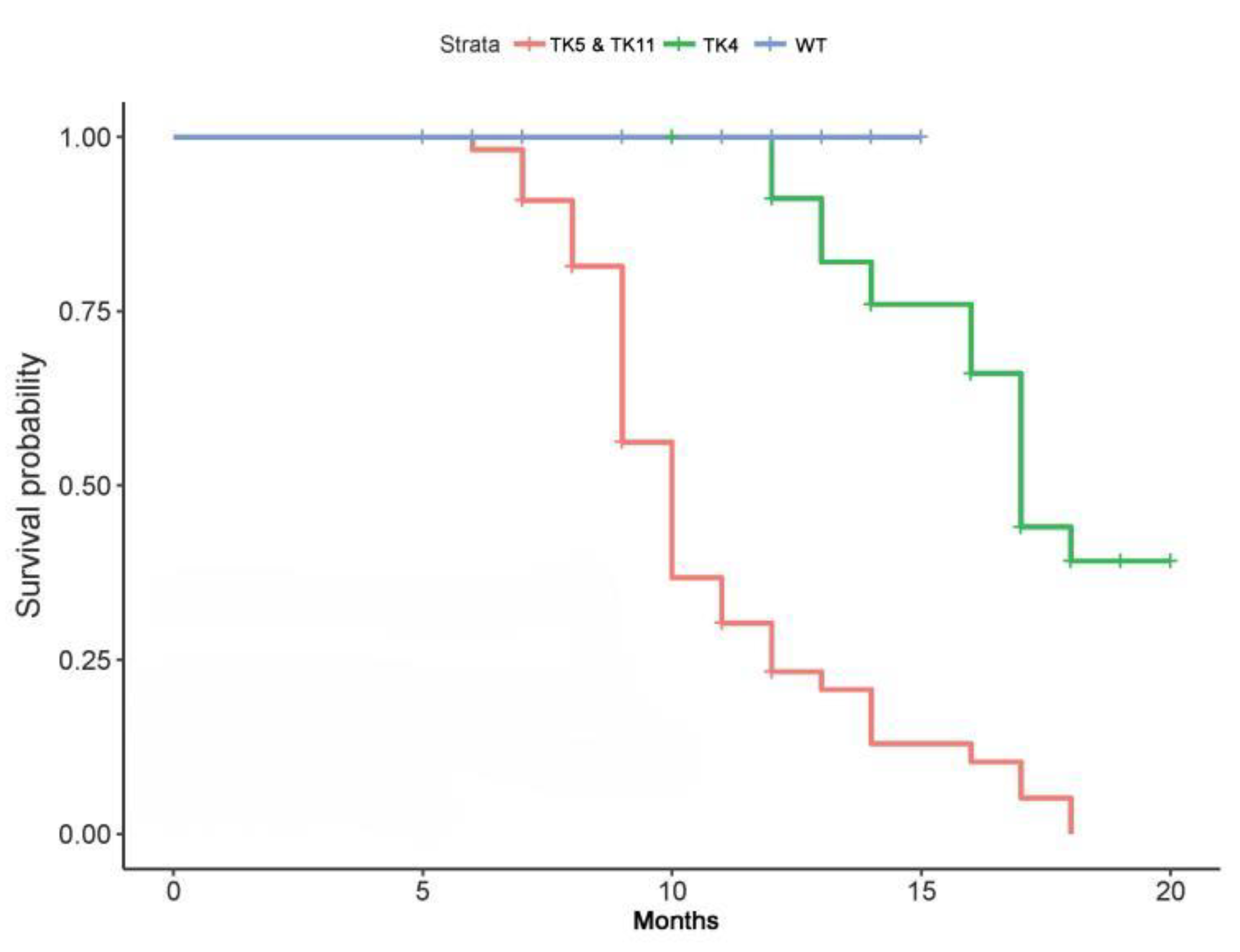 Genes 09 00380 g003 Genes 09 00380 g003