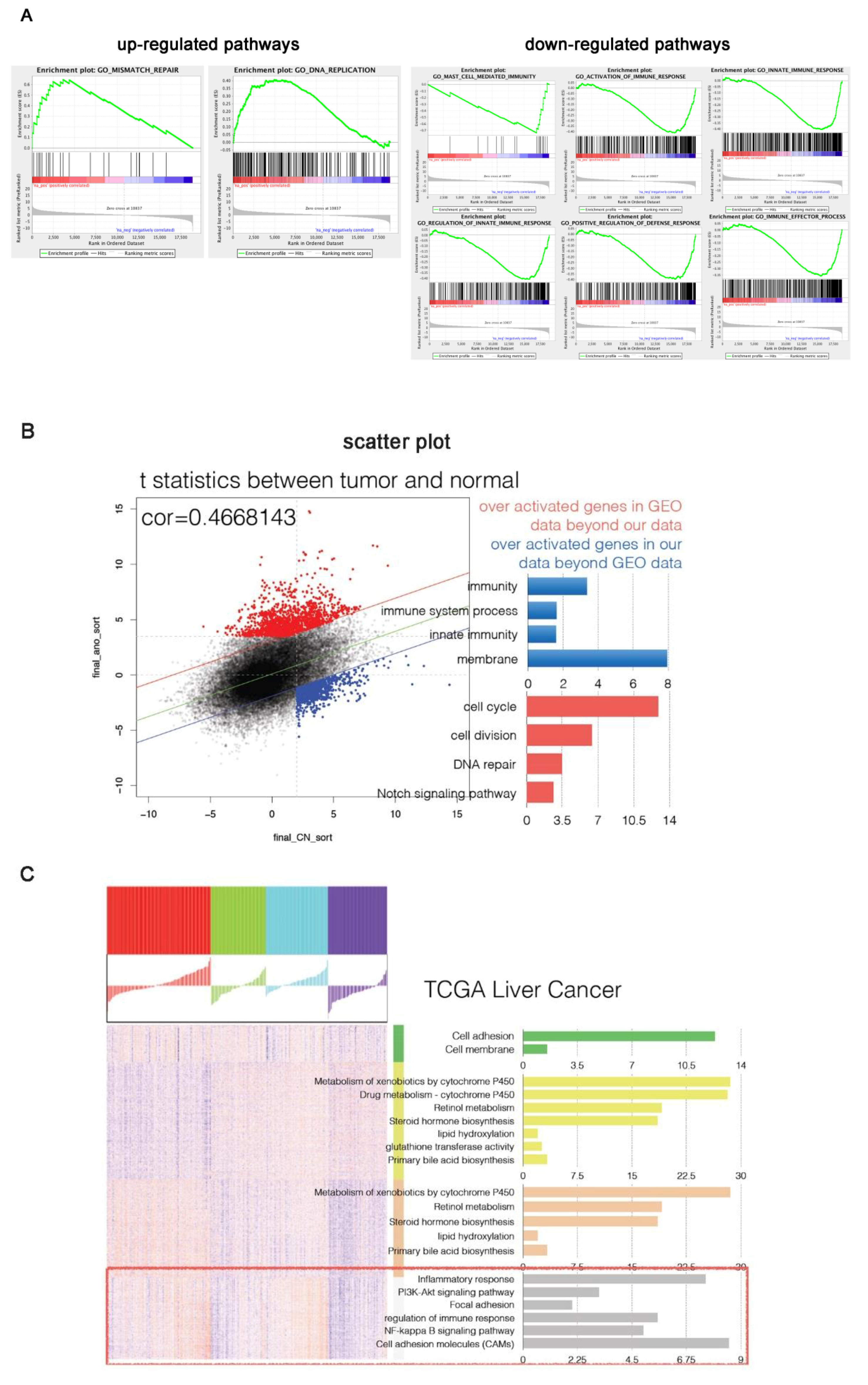Genes 09 00380 g005 Genes 09 00380 g005