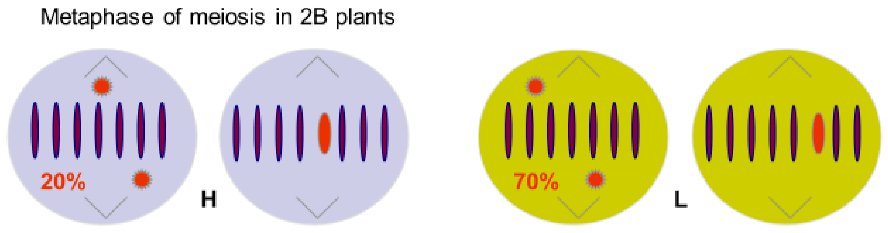Genes 09 00388 g002