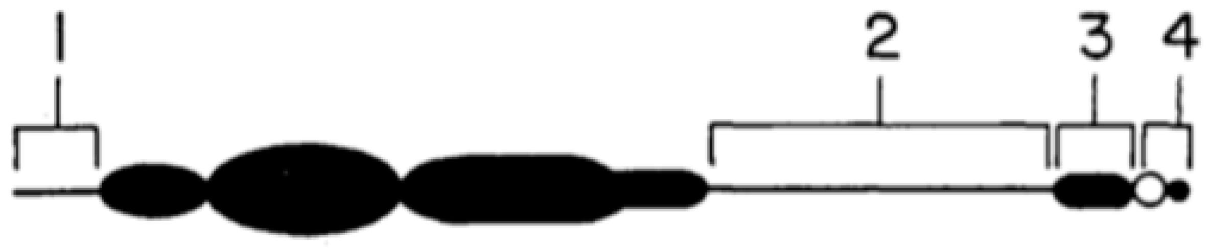 Genes 09 00388 g003