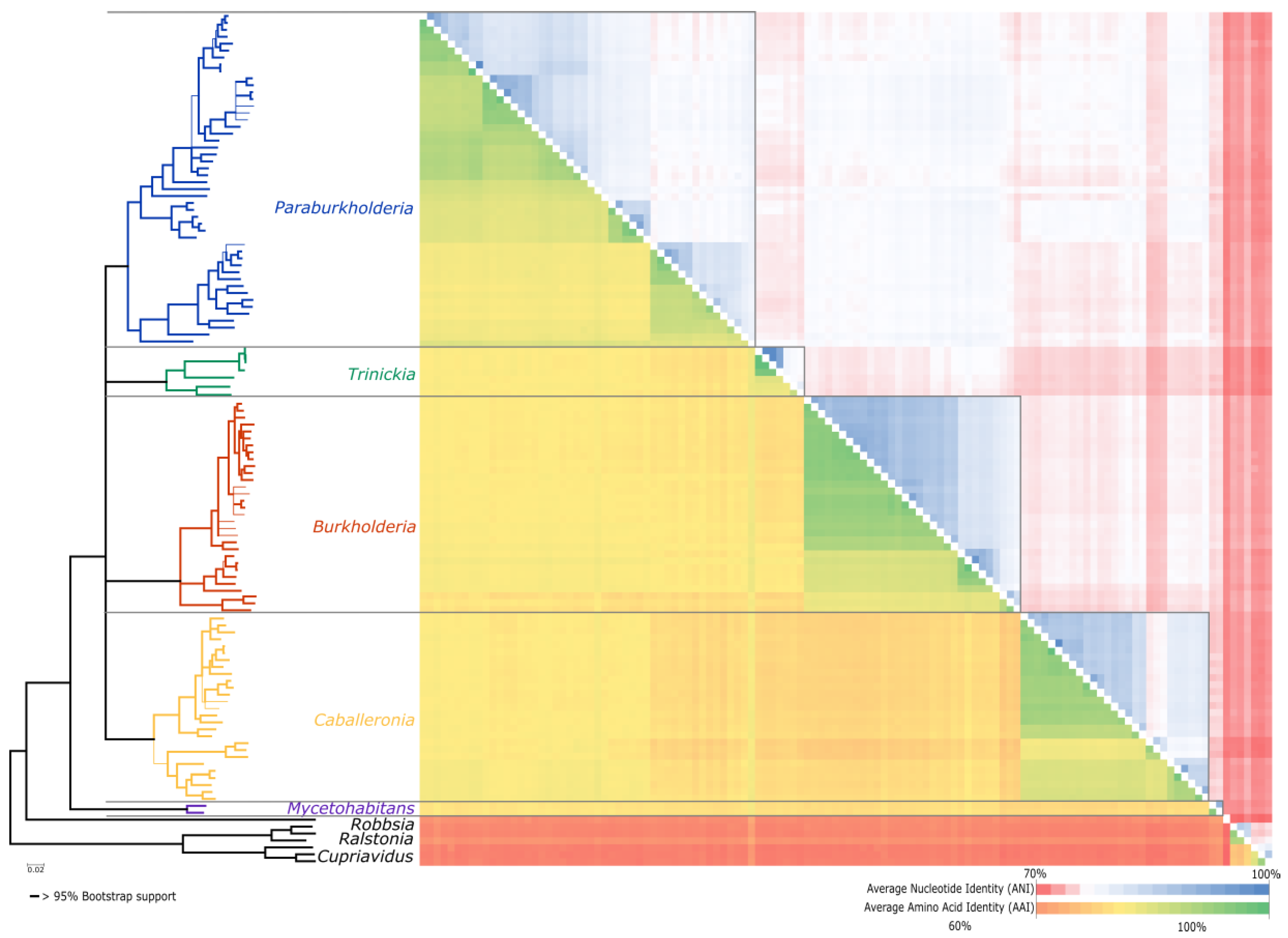 Genes 09 00389 g002 Genes 09 00389 g002