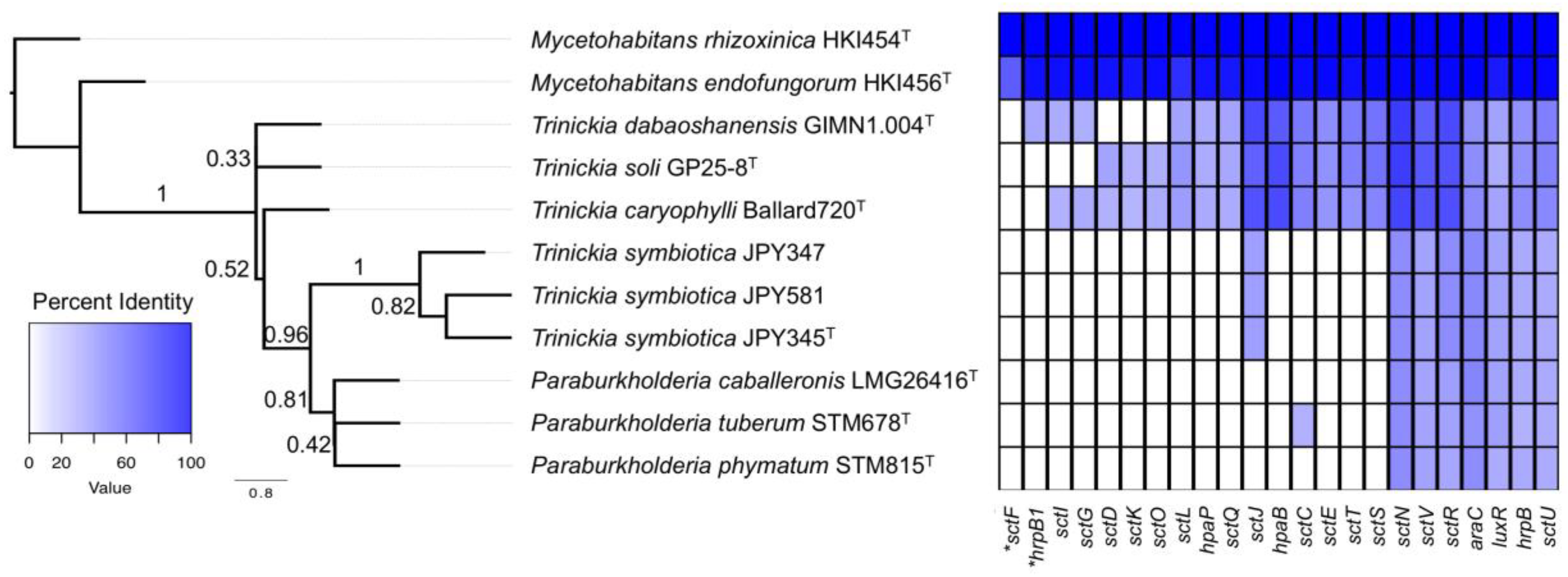 Genes 09 00389 g004 Genes 09 00389 g004