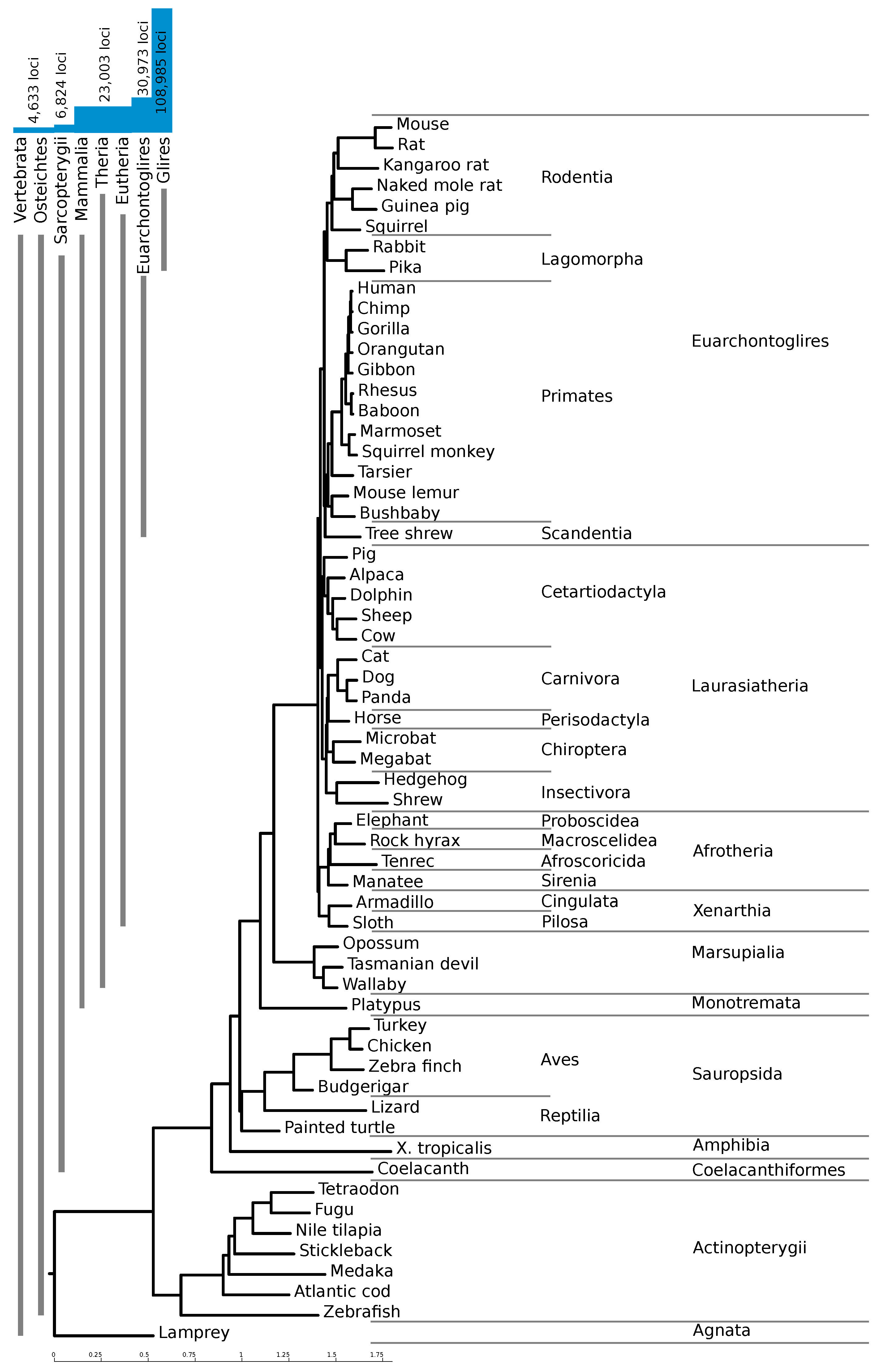 Genes 09 00392 g002 Genes 09 00392 g002