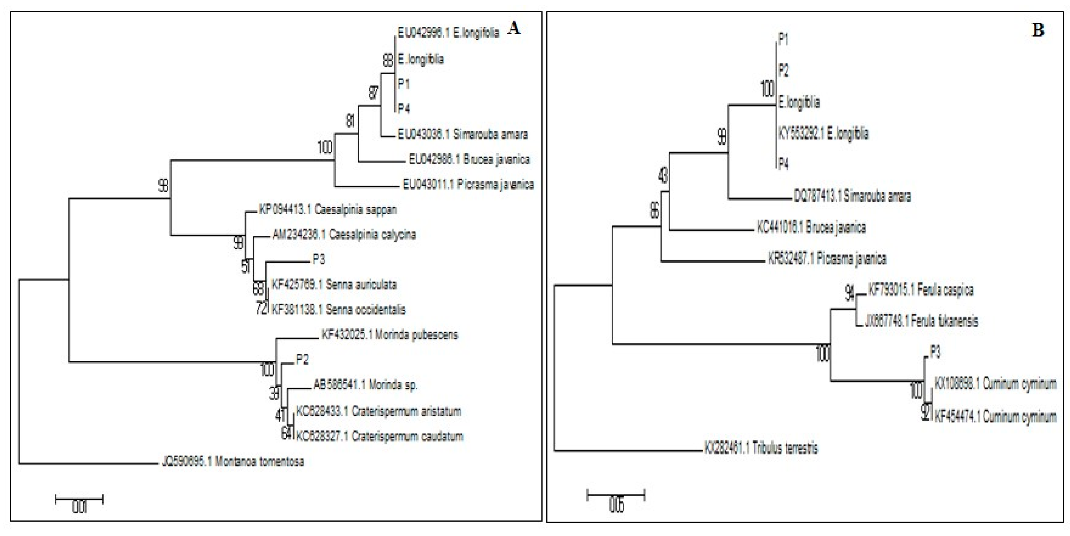 Genes 09 00408 g004