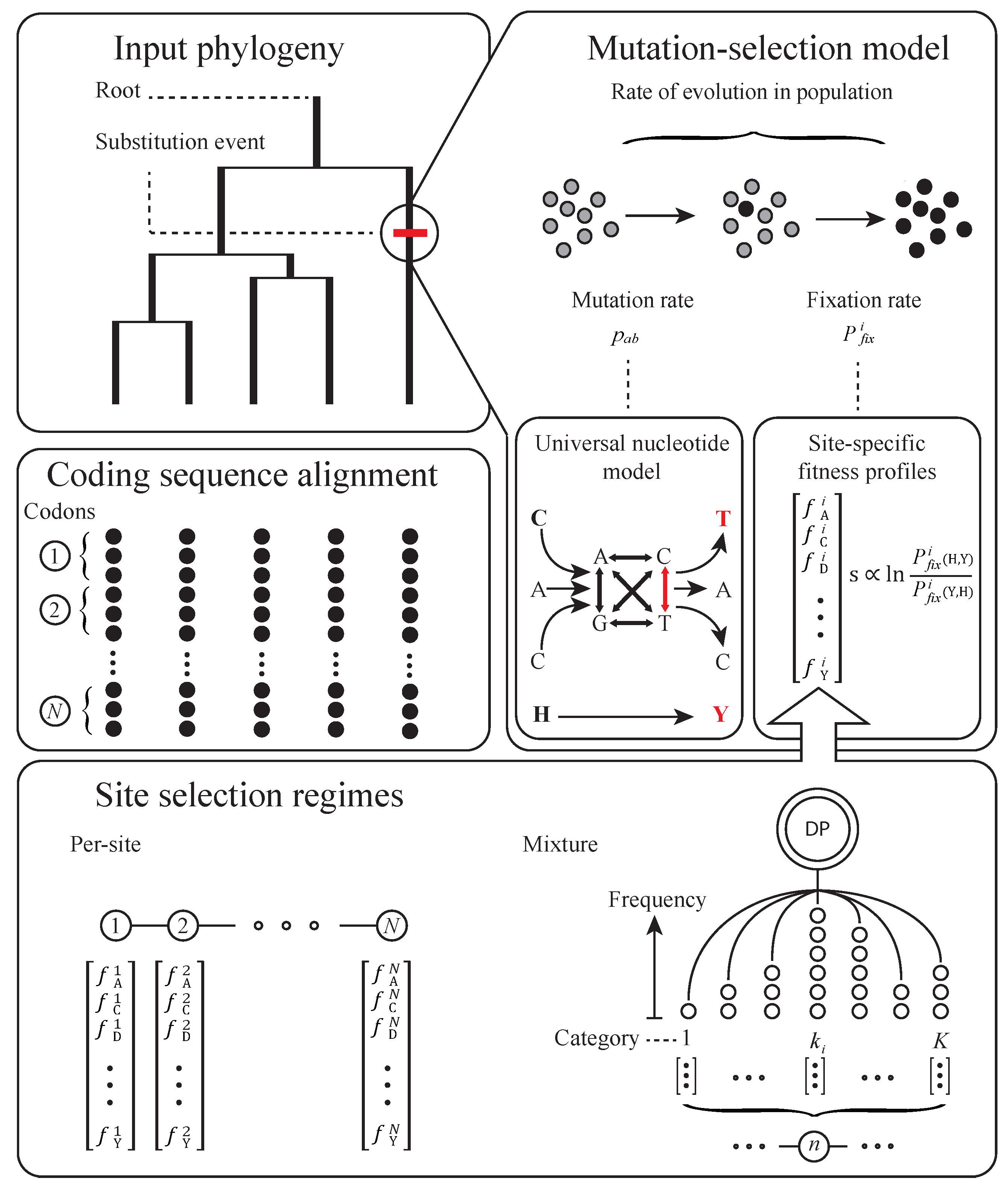 Genes 09 00409 g002