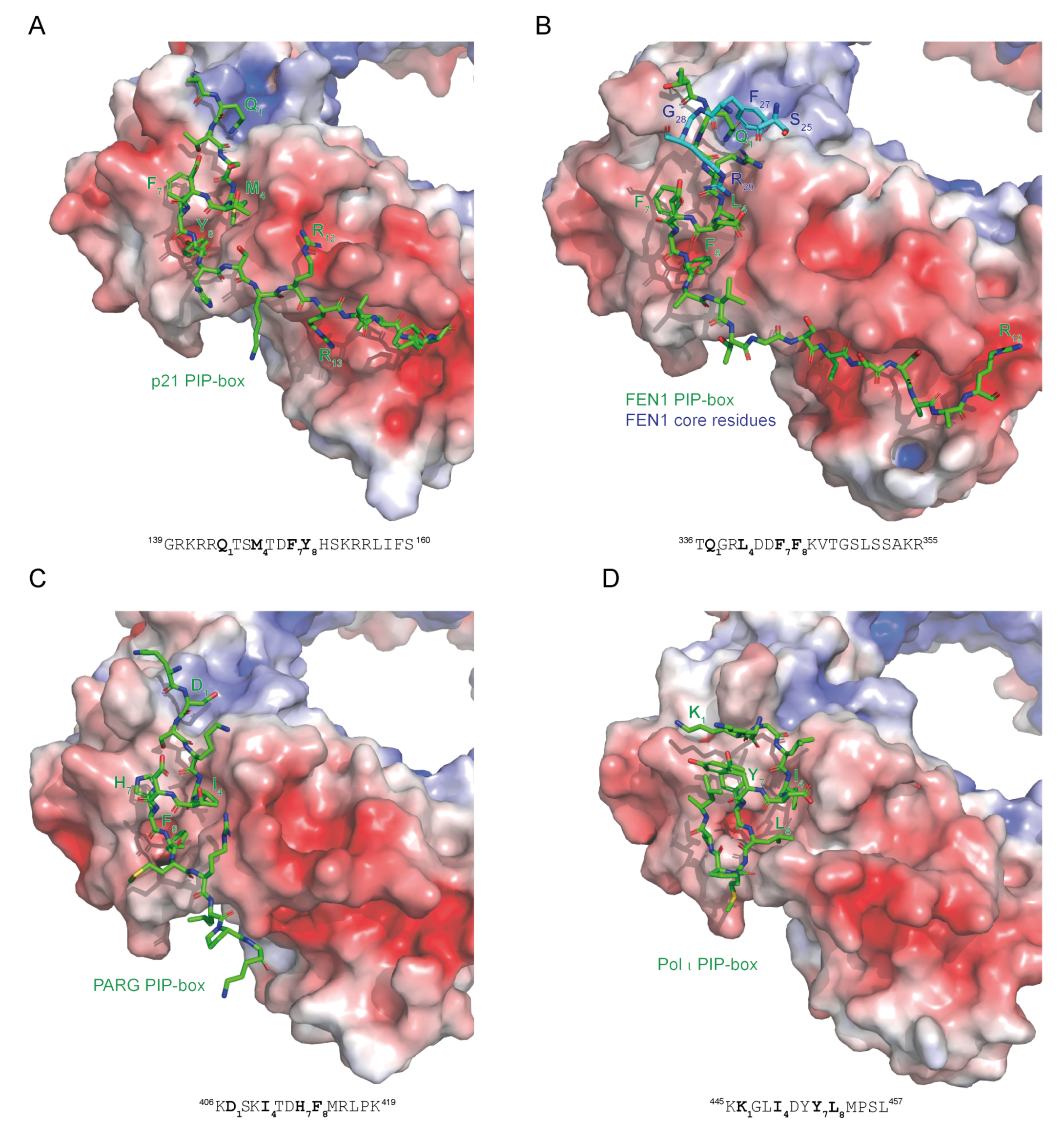 Genes 09 00416 g004 Genes 09 00416 g004