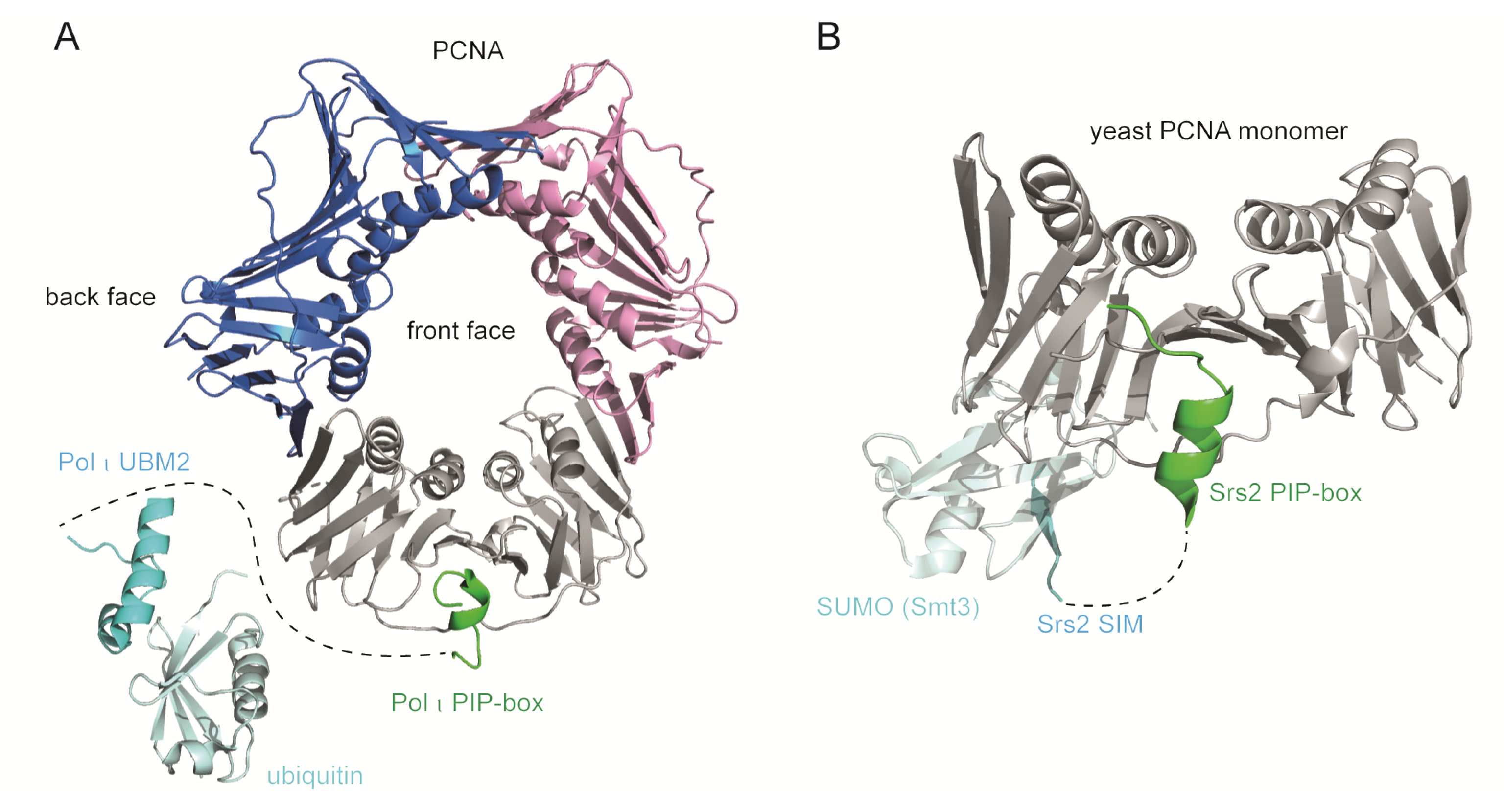Genes 09 00416 g005 Genes 09 00416 g005