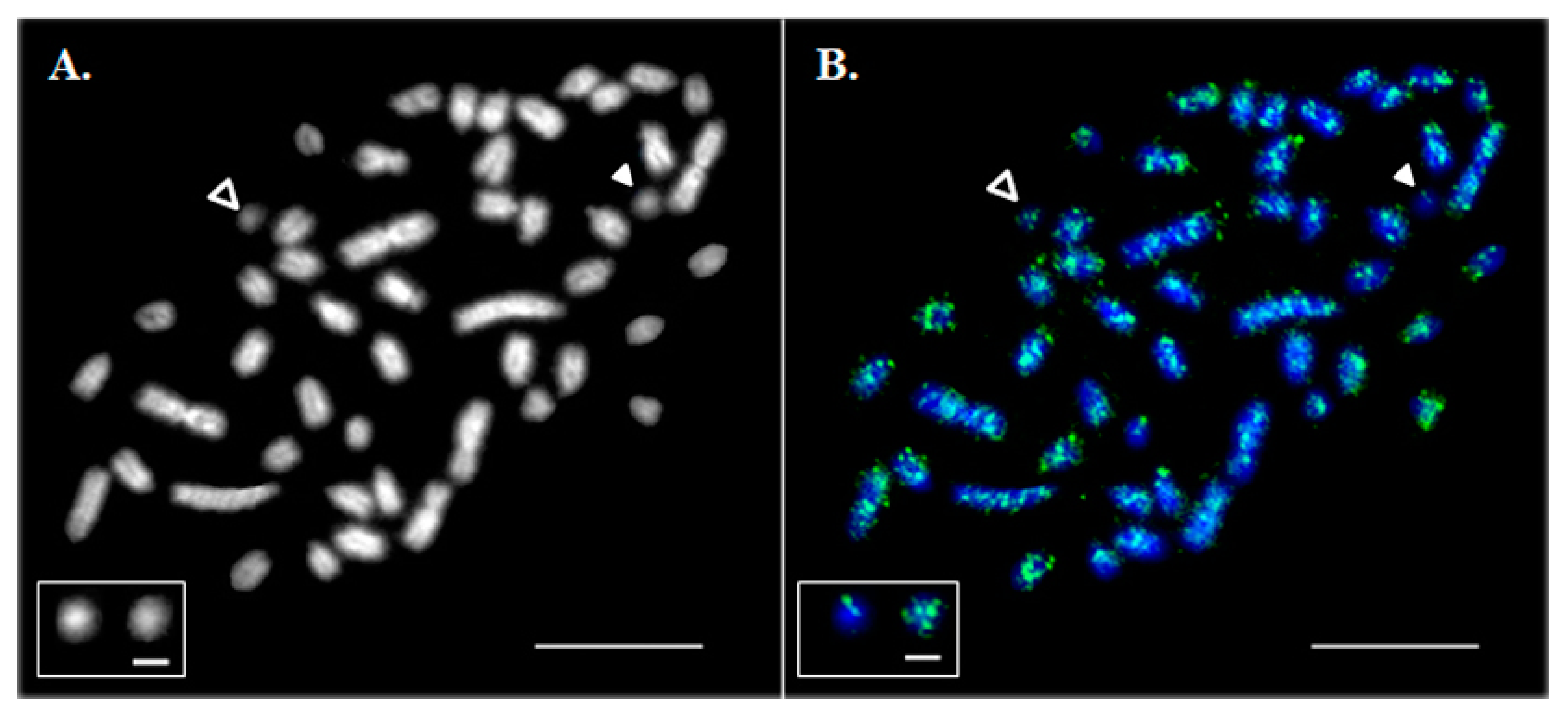 Genes 09 00464 g001 Genes 09 00464 g001