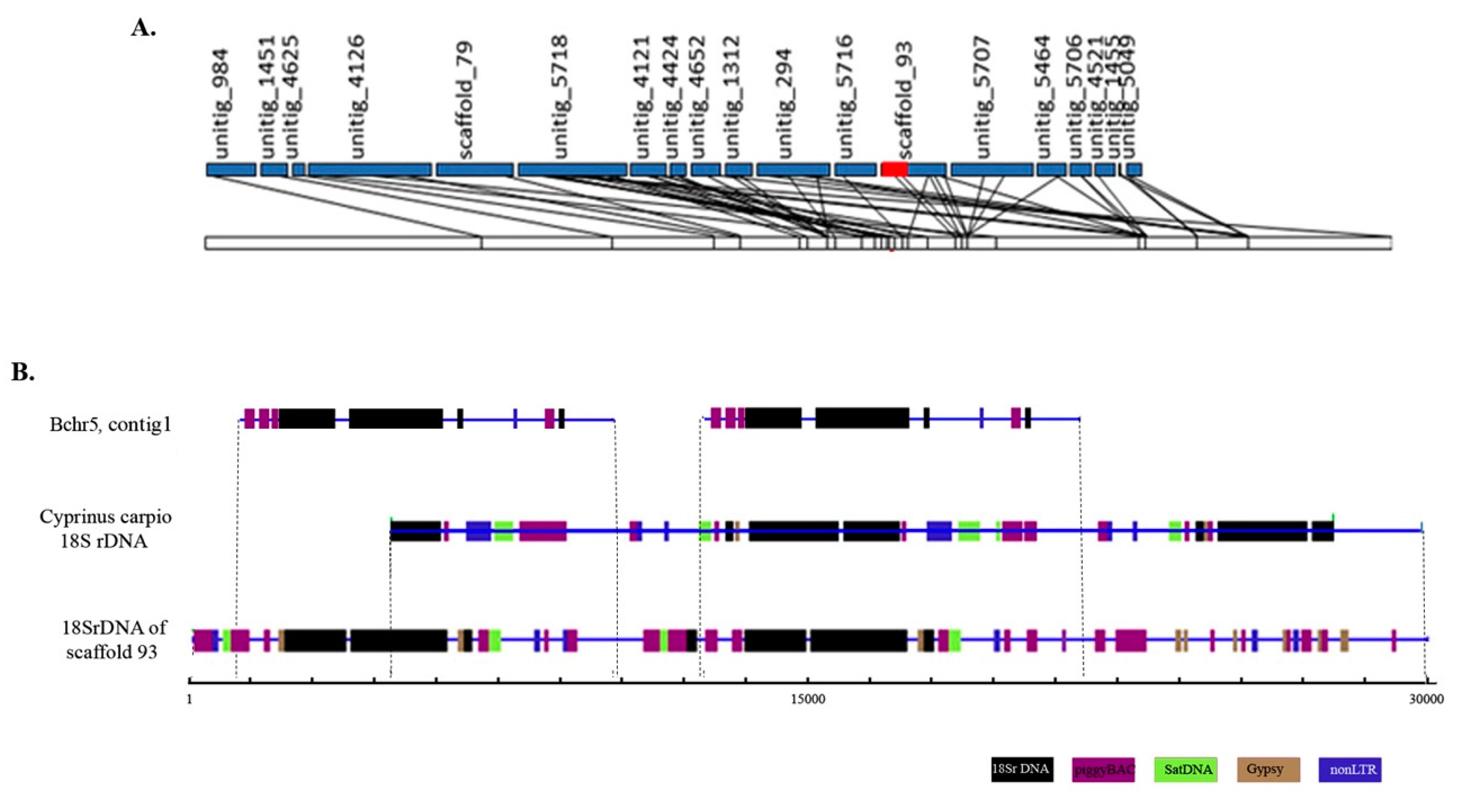 Genes 09 00464 g003 Genes 09 00464 g003