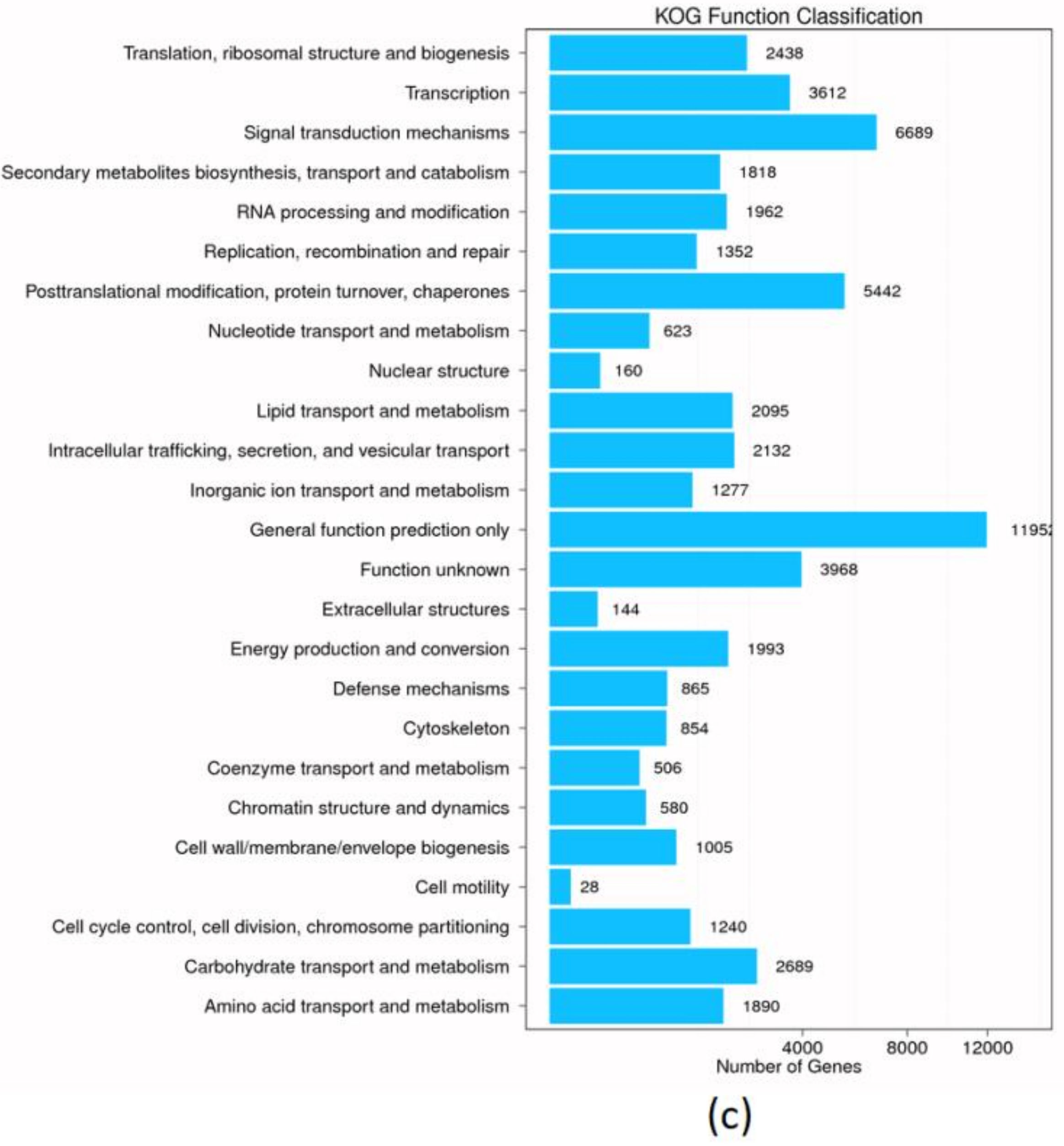 Genes 09 00466 g002b Genes 09 00466 g002b