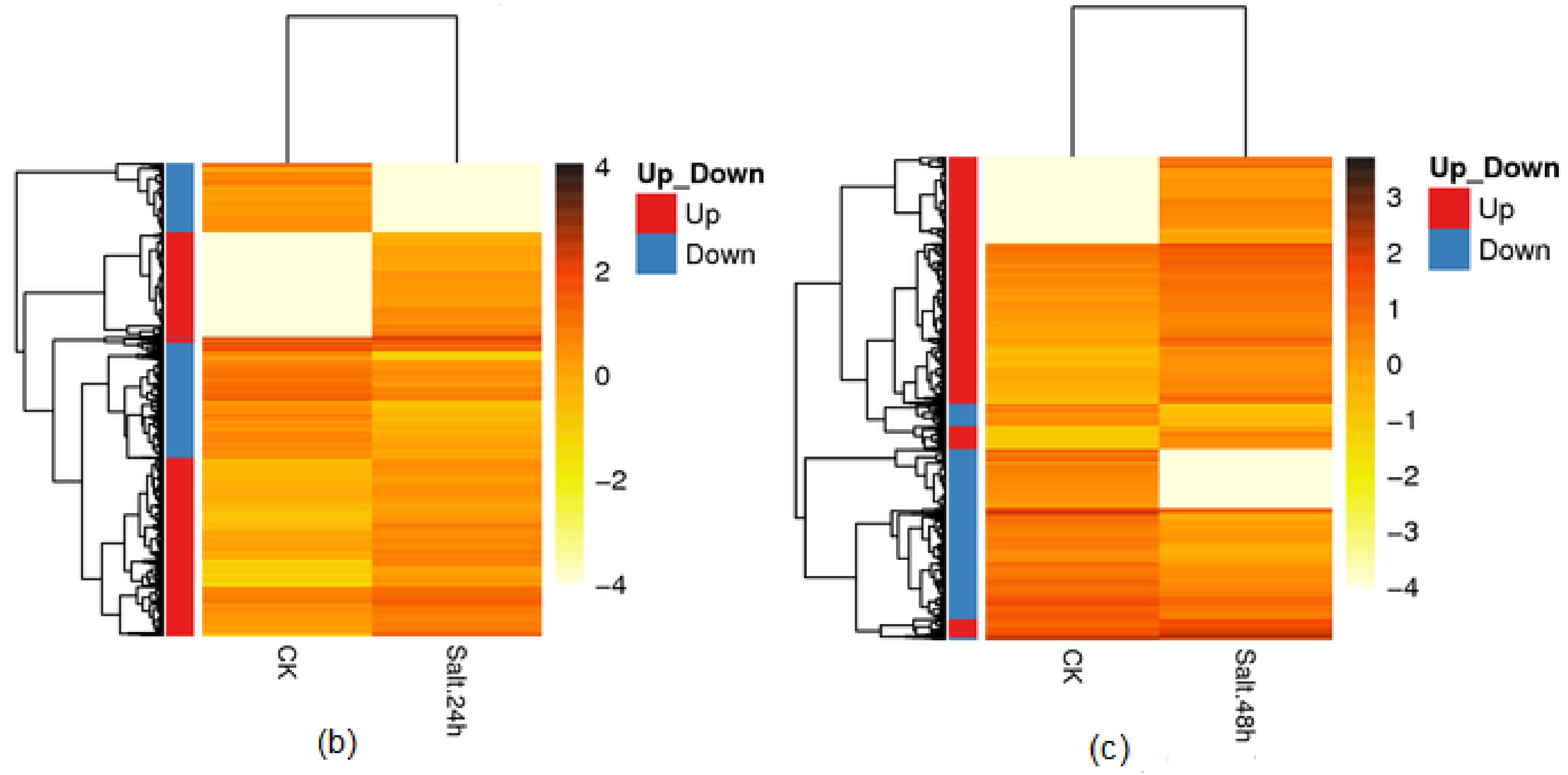 Genes 09 00466 g005b Genes 09 00466 g005b