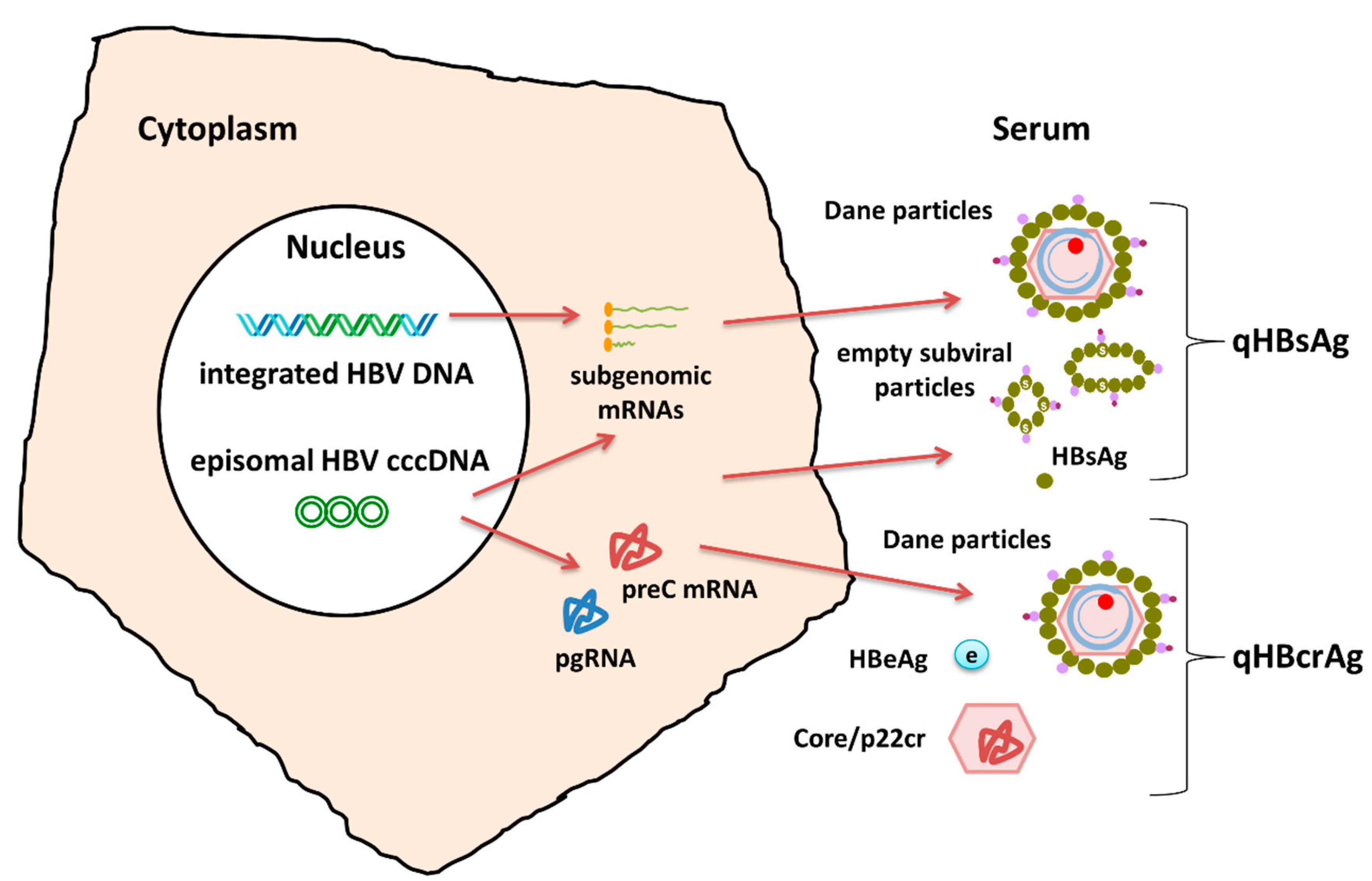 Genes 09 00469 g002