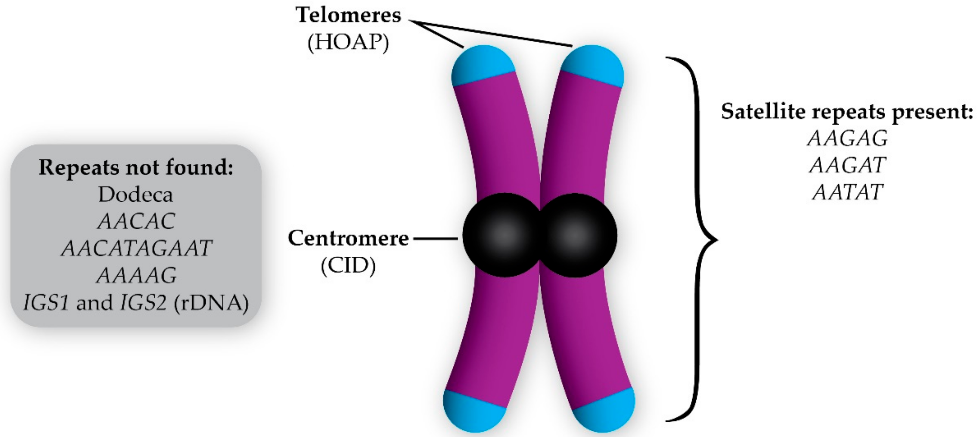 Genes 09 00470 g002 Genes 09 00470 g002