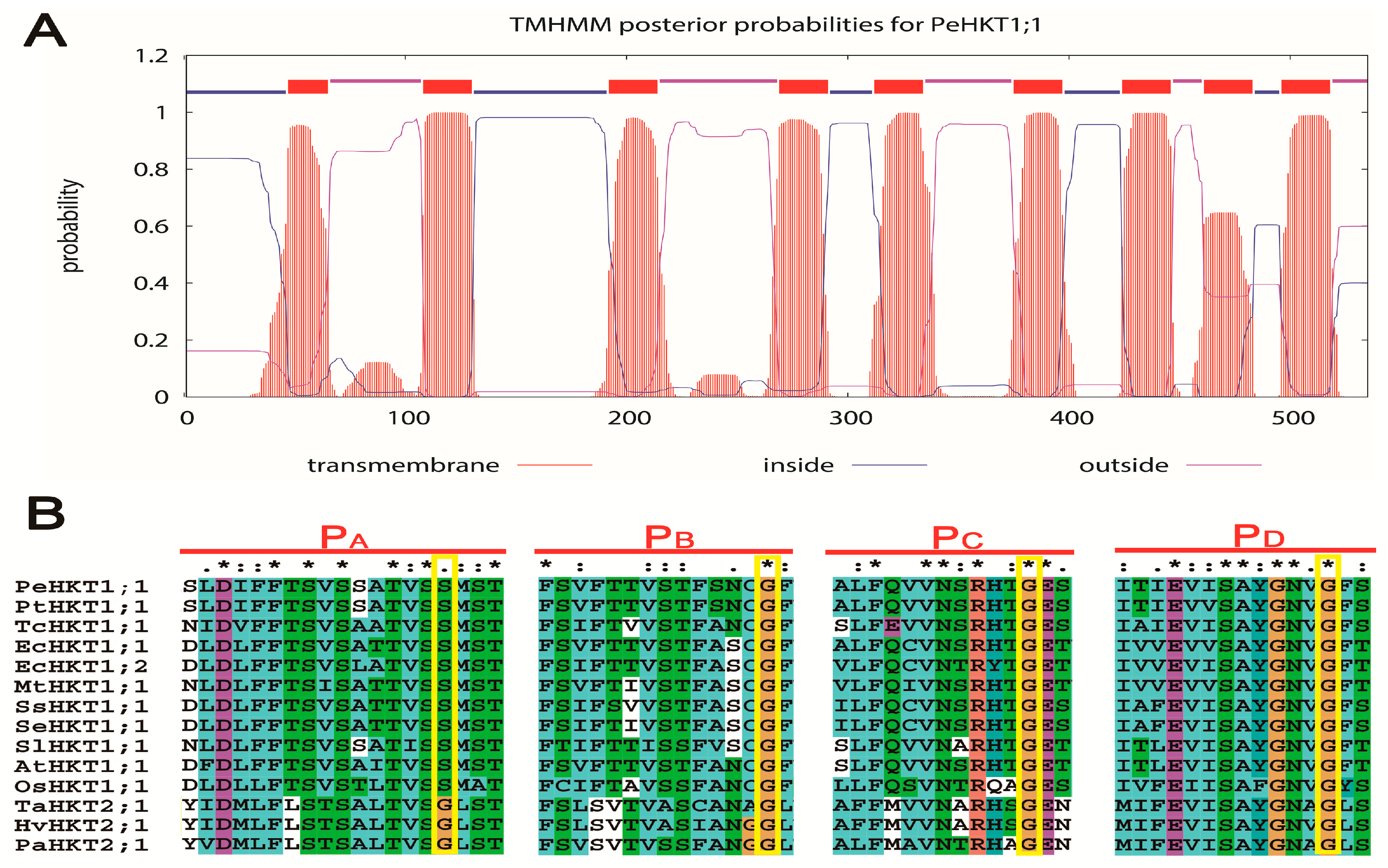 Genes 09 00475 g001a Genes 09 00475 g001a