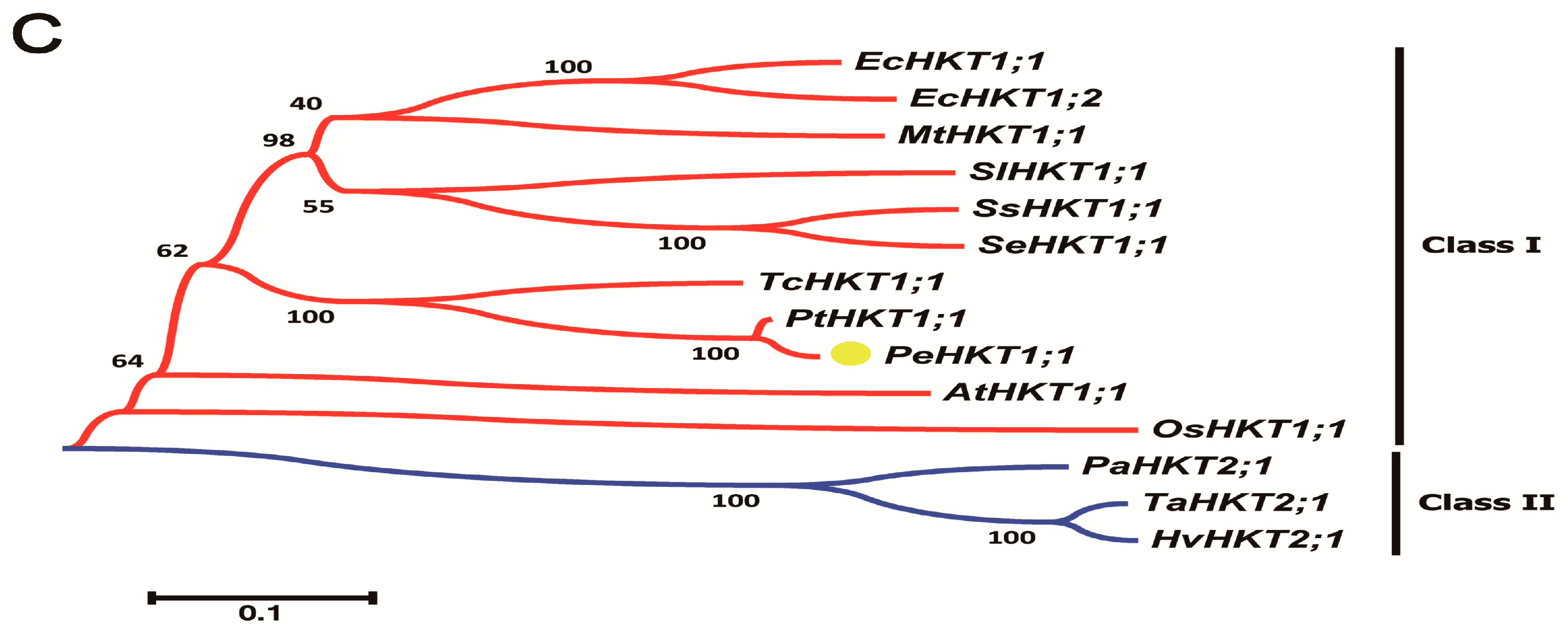 Genes 09 00475 g001b Genes 09 00475 g001b