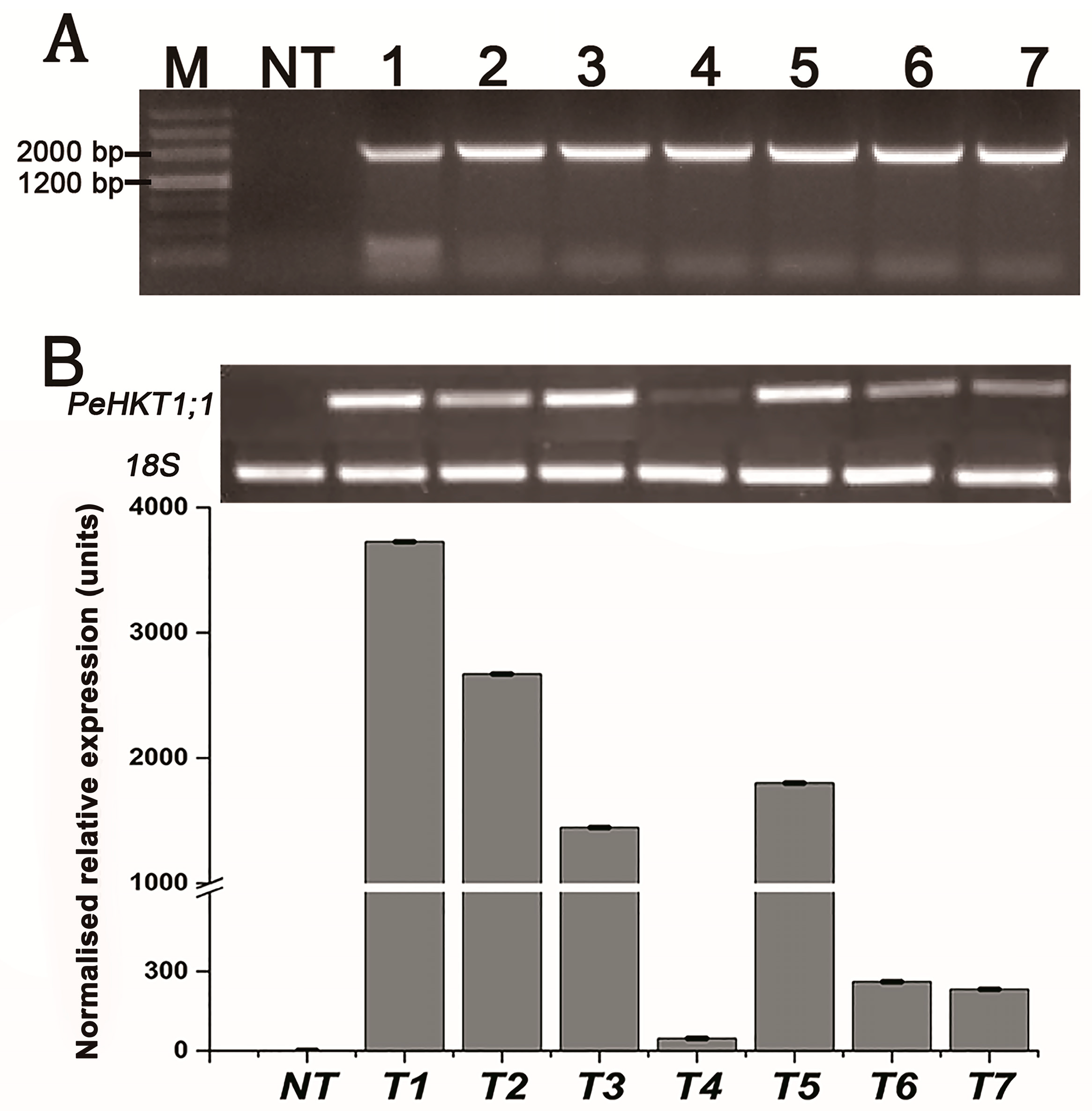 Genes 09 00475 g004 Genes 09 00475 g004
