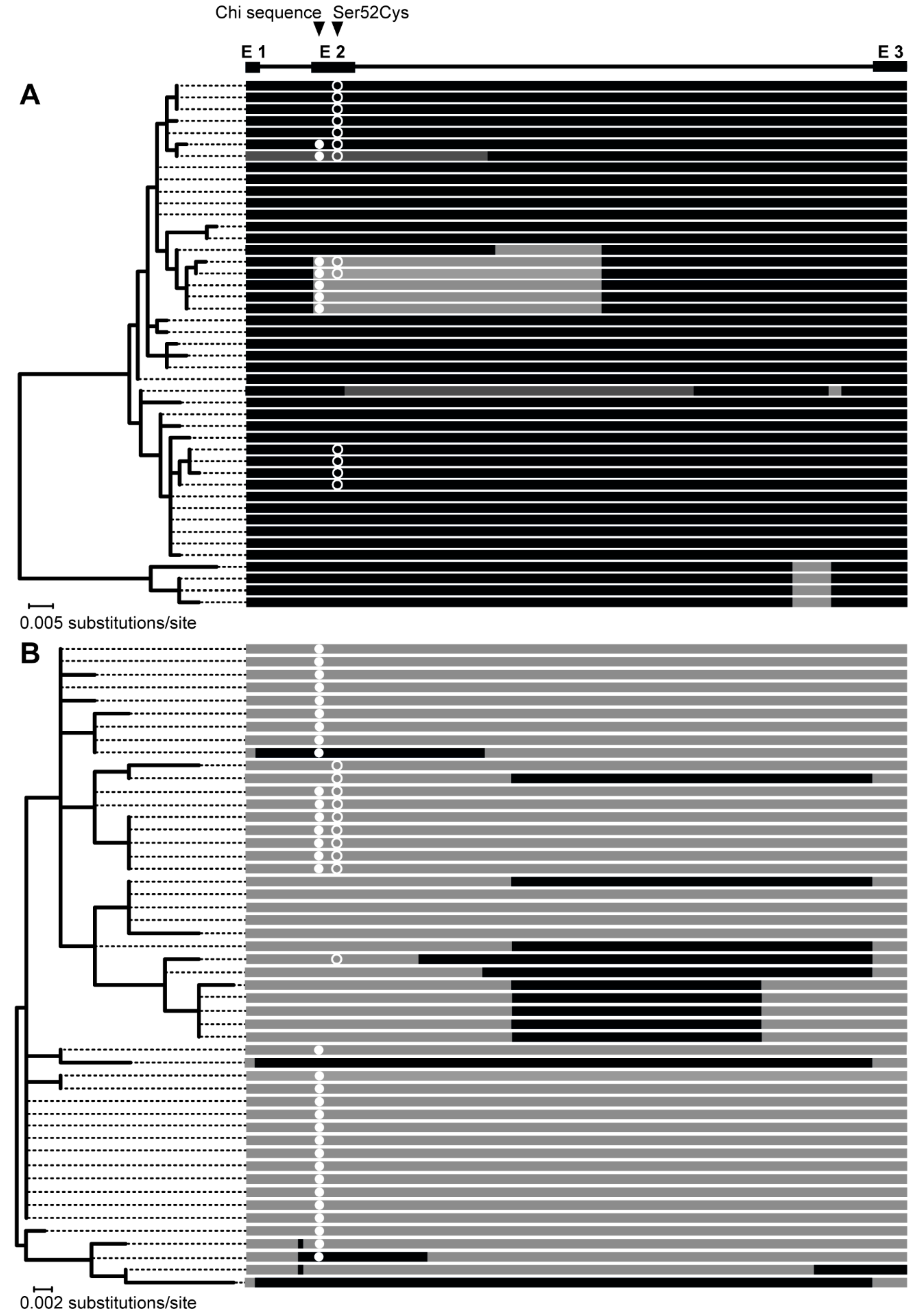 Genes 09 00492 g003 Genes 09 00492 g003