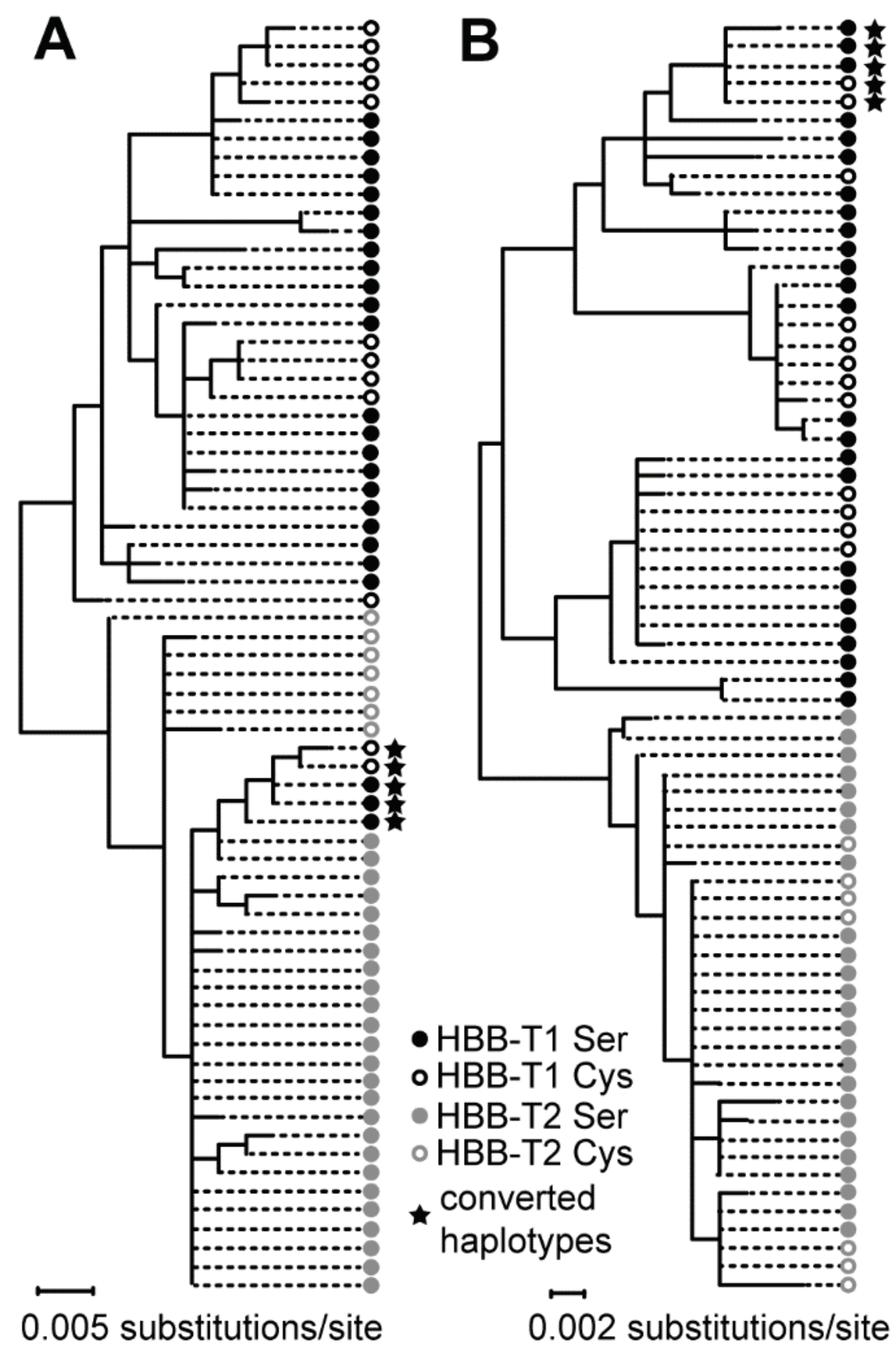 Genes 09 00492 g004 Genes 09 00492 g004