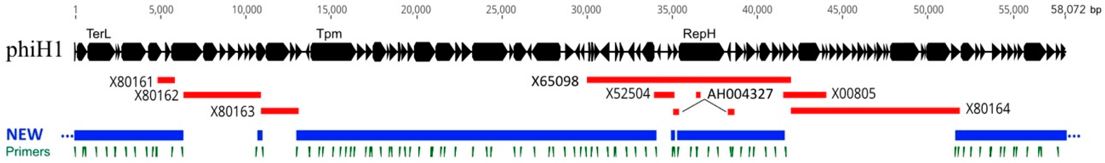 Genes 09 00493 g001