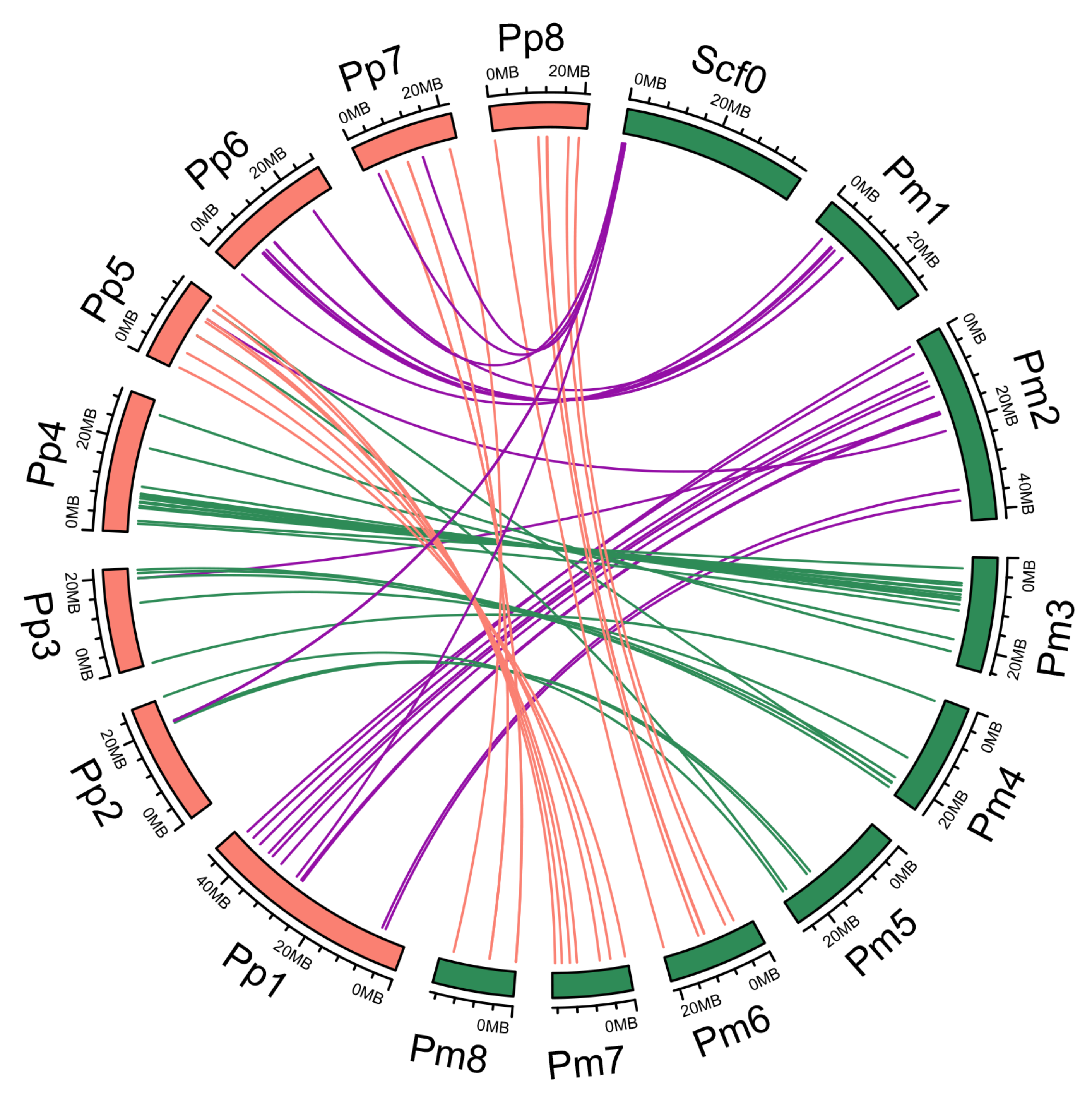 Genes 09 00494 g002 Genes 09 00494 g002