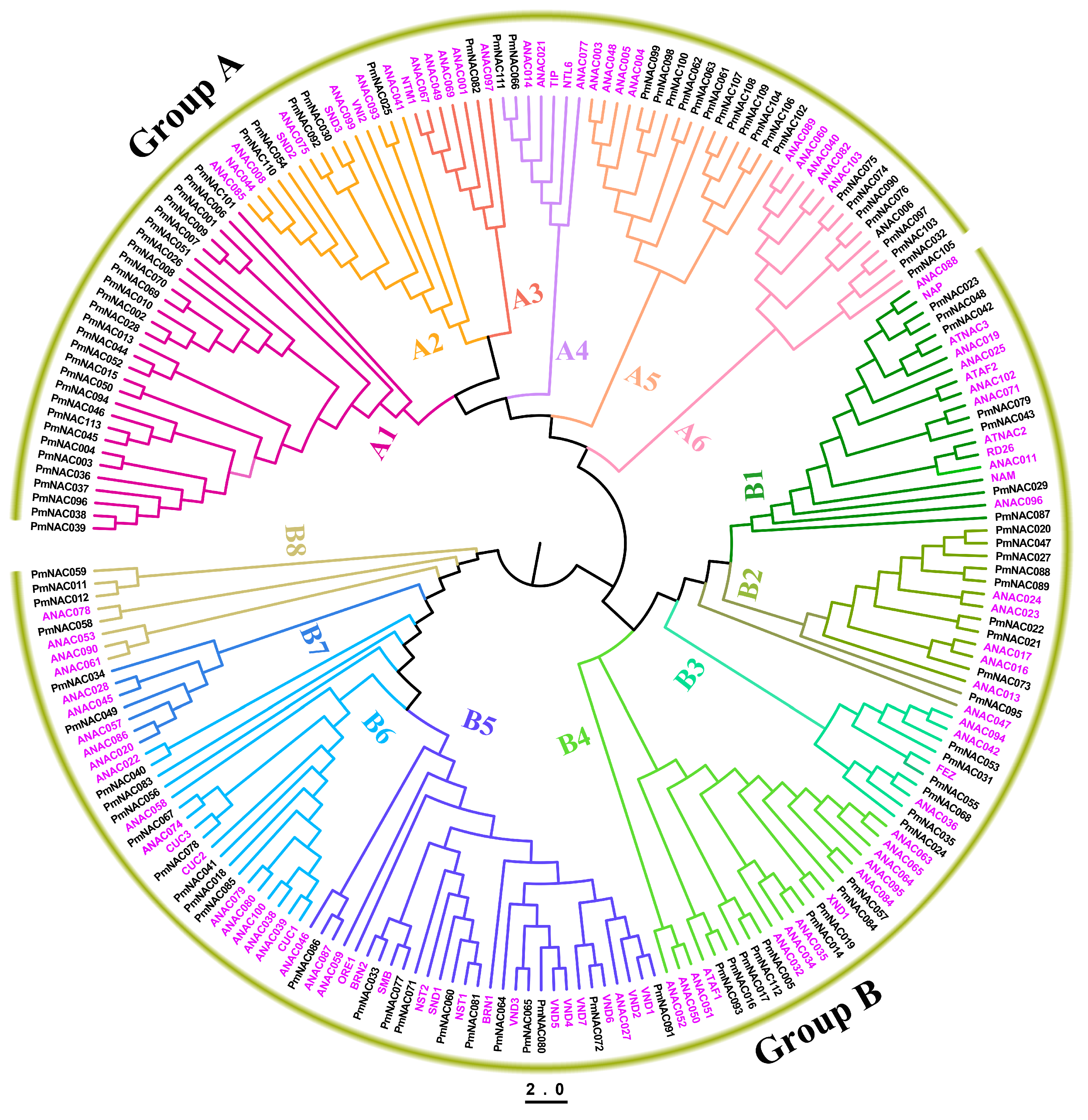 Genes 09 00494 g003 Genes 09 00494 g003
