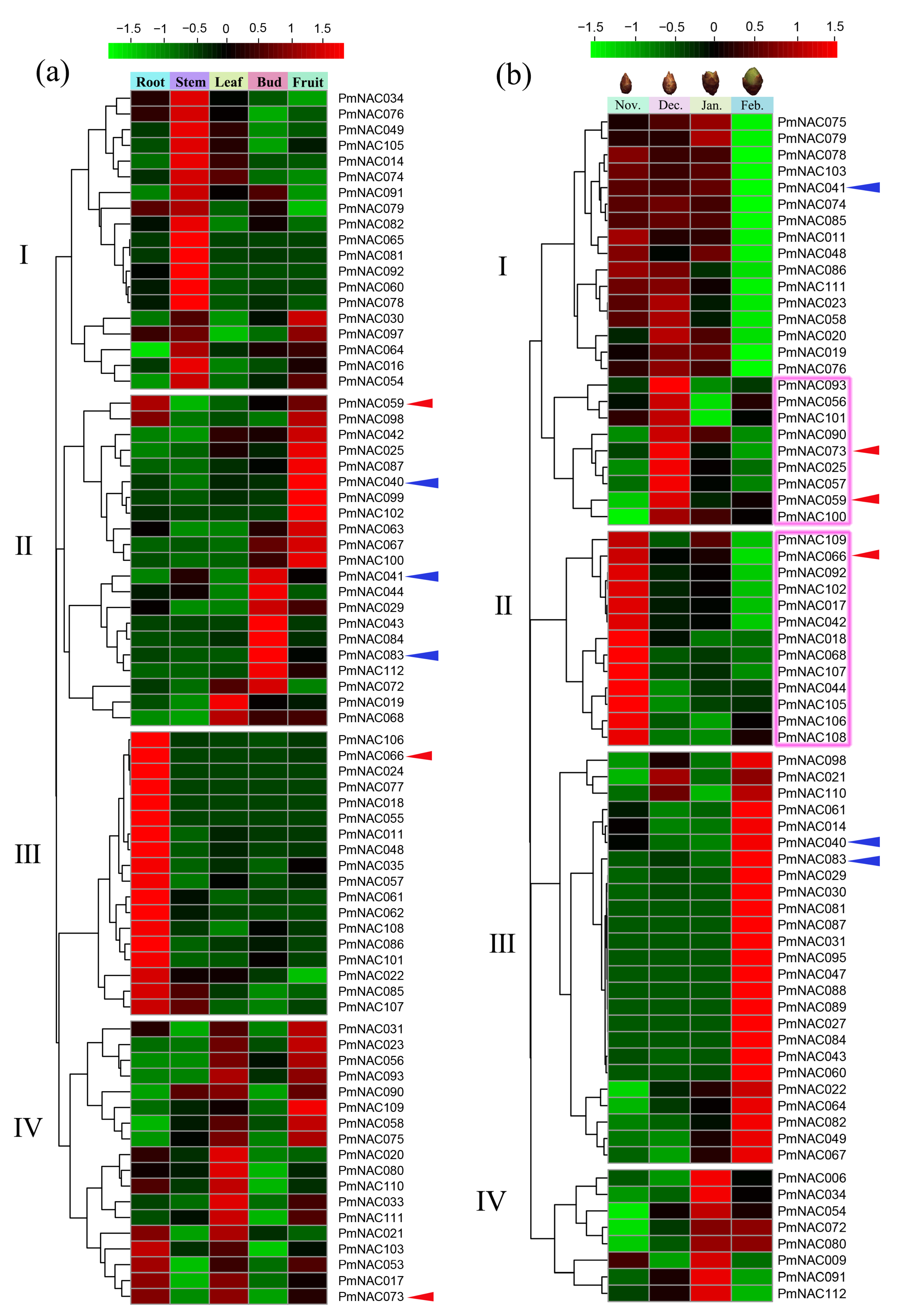 Genes 09 00494 g005 Genes 09 00494 g005