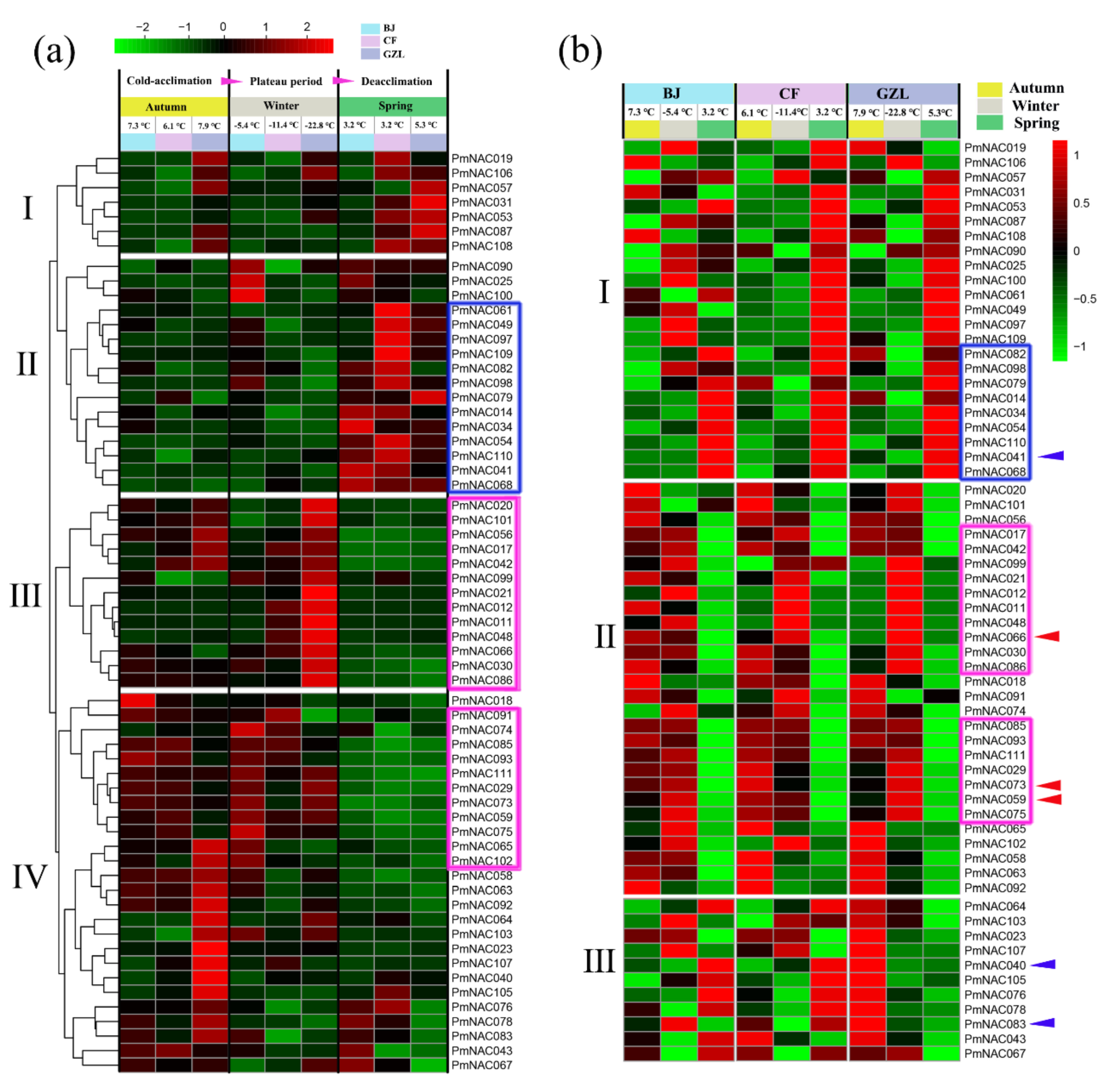 Genes 09 00494 g006 Genes 09 00494 g006