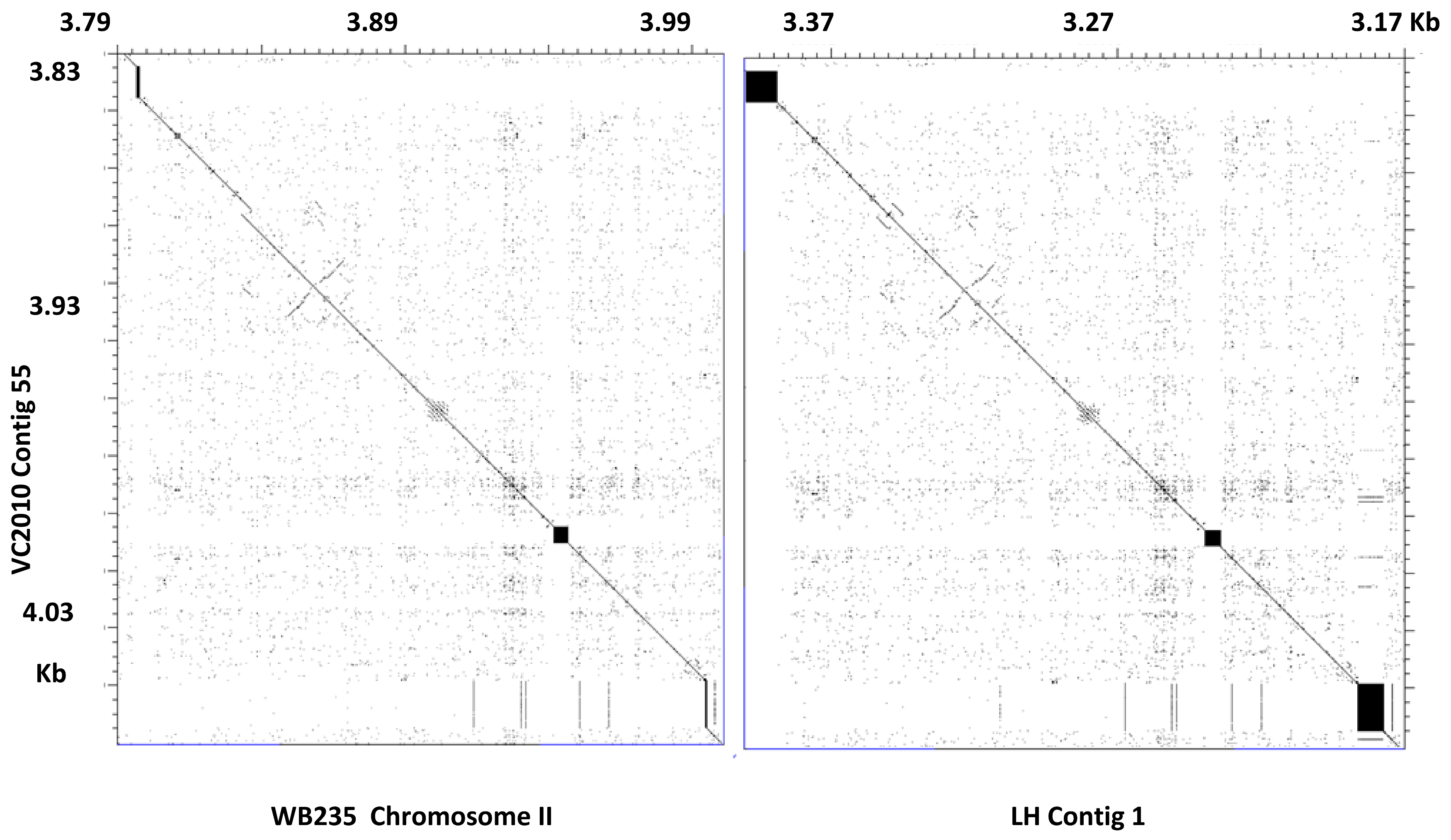 Genes 09 00500 g002 Genes 09 00500 g002